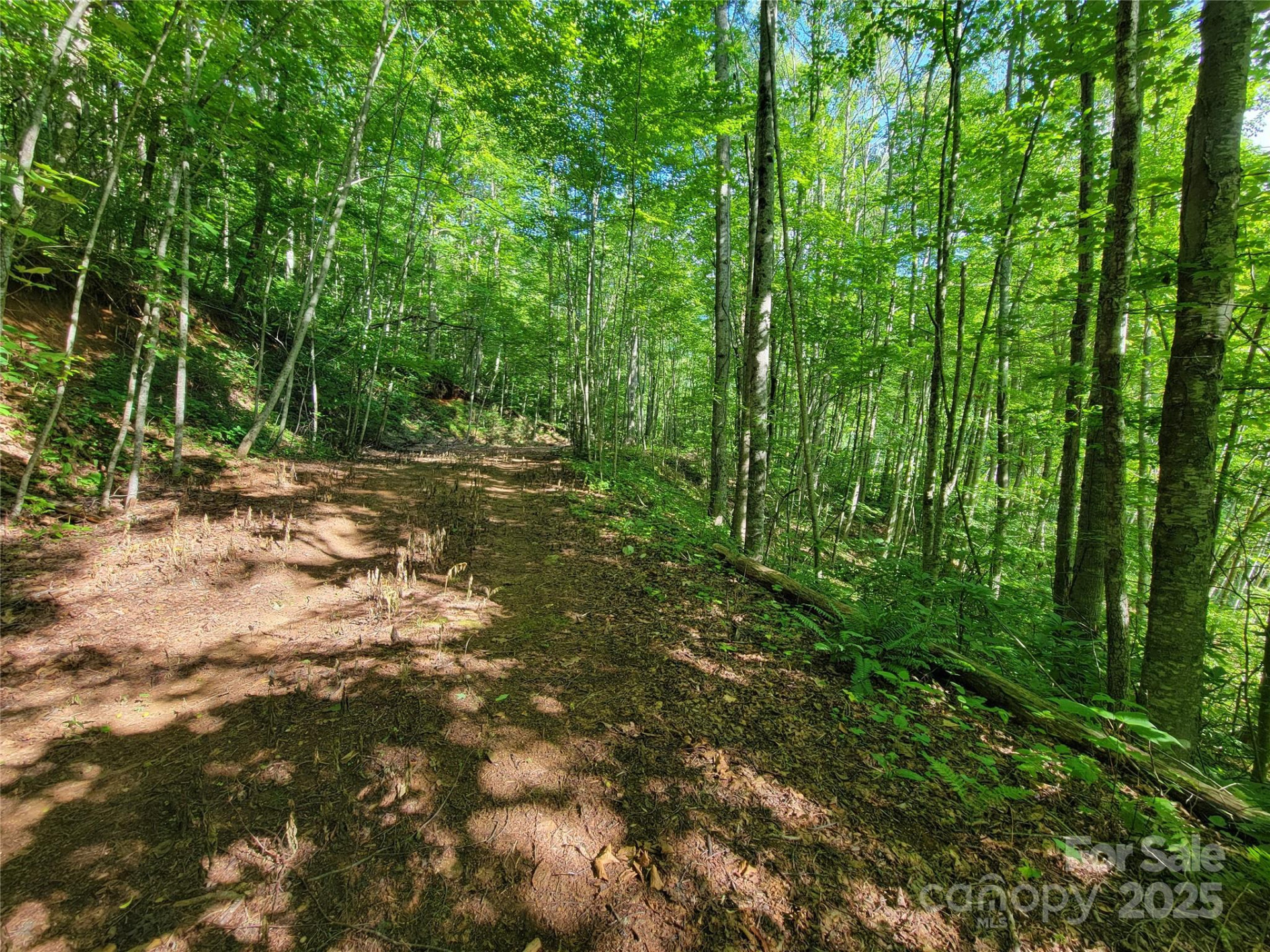 100 Village Lane #26 - Photo 6