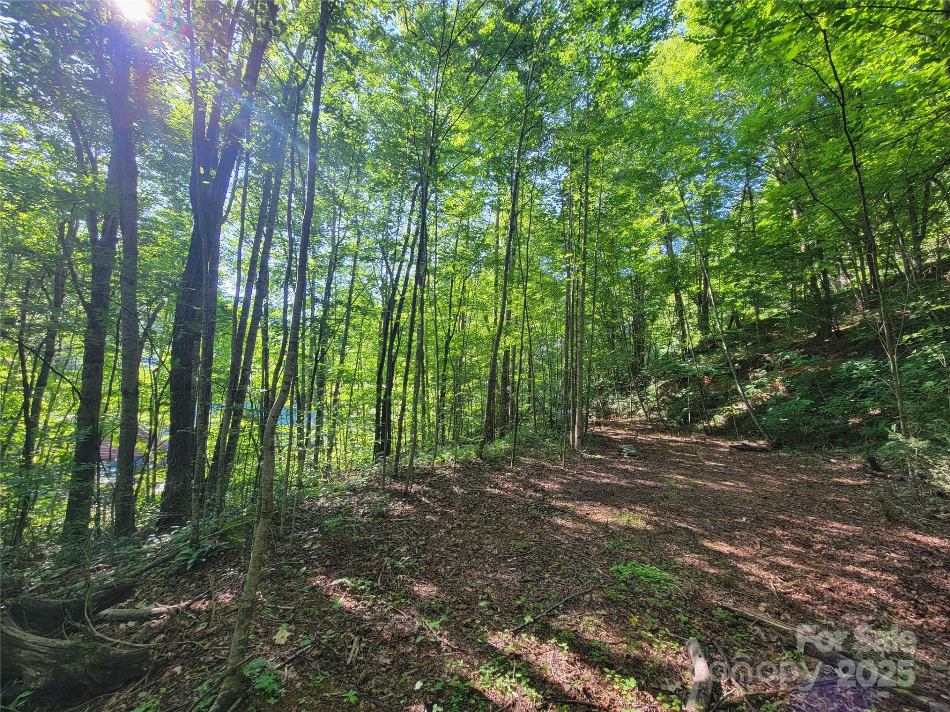 100 Village Lane #26 - Photo 10