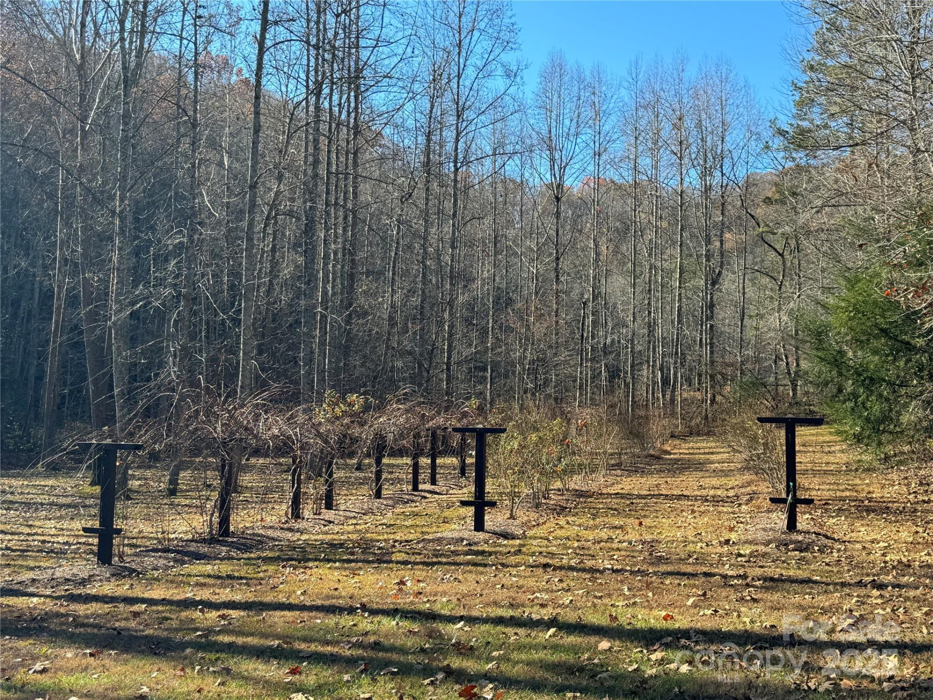 Site 5 Woodfen Lane - Photo 3