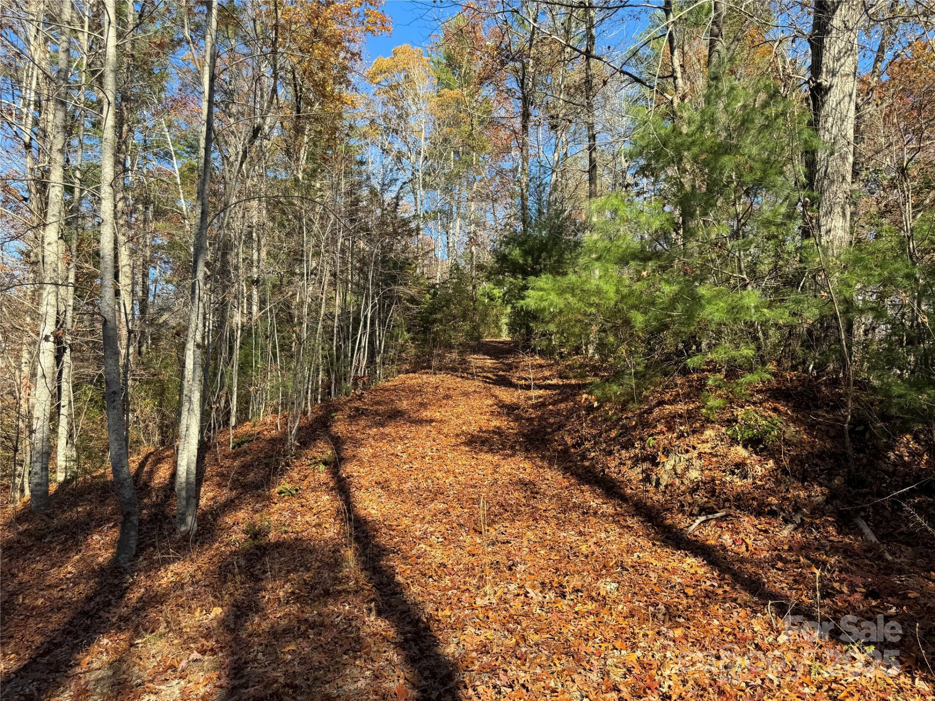 Site 5 Woodfen Lane - Photo 7