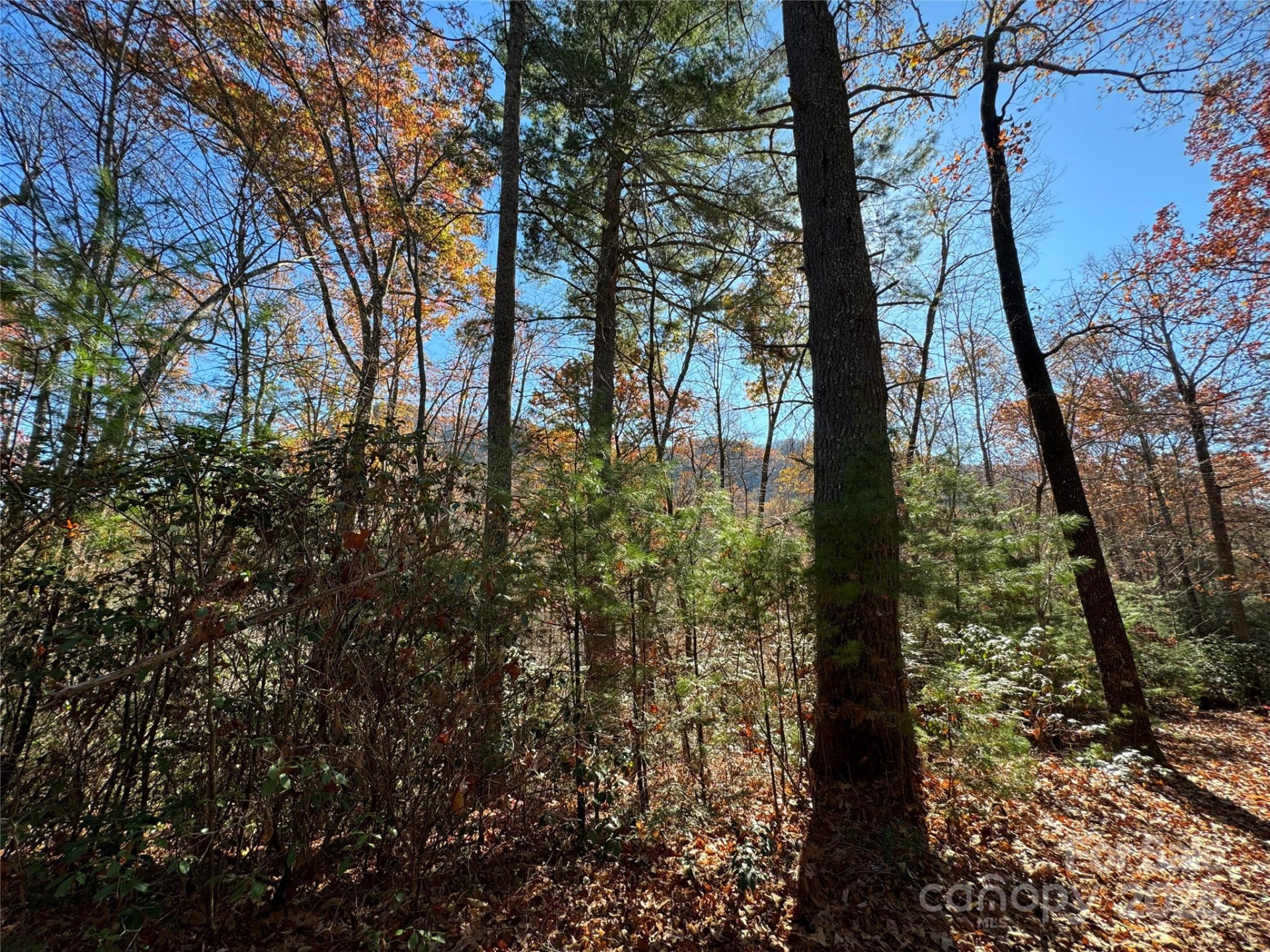 Site 5 Woodfen Lane - Photo 8