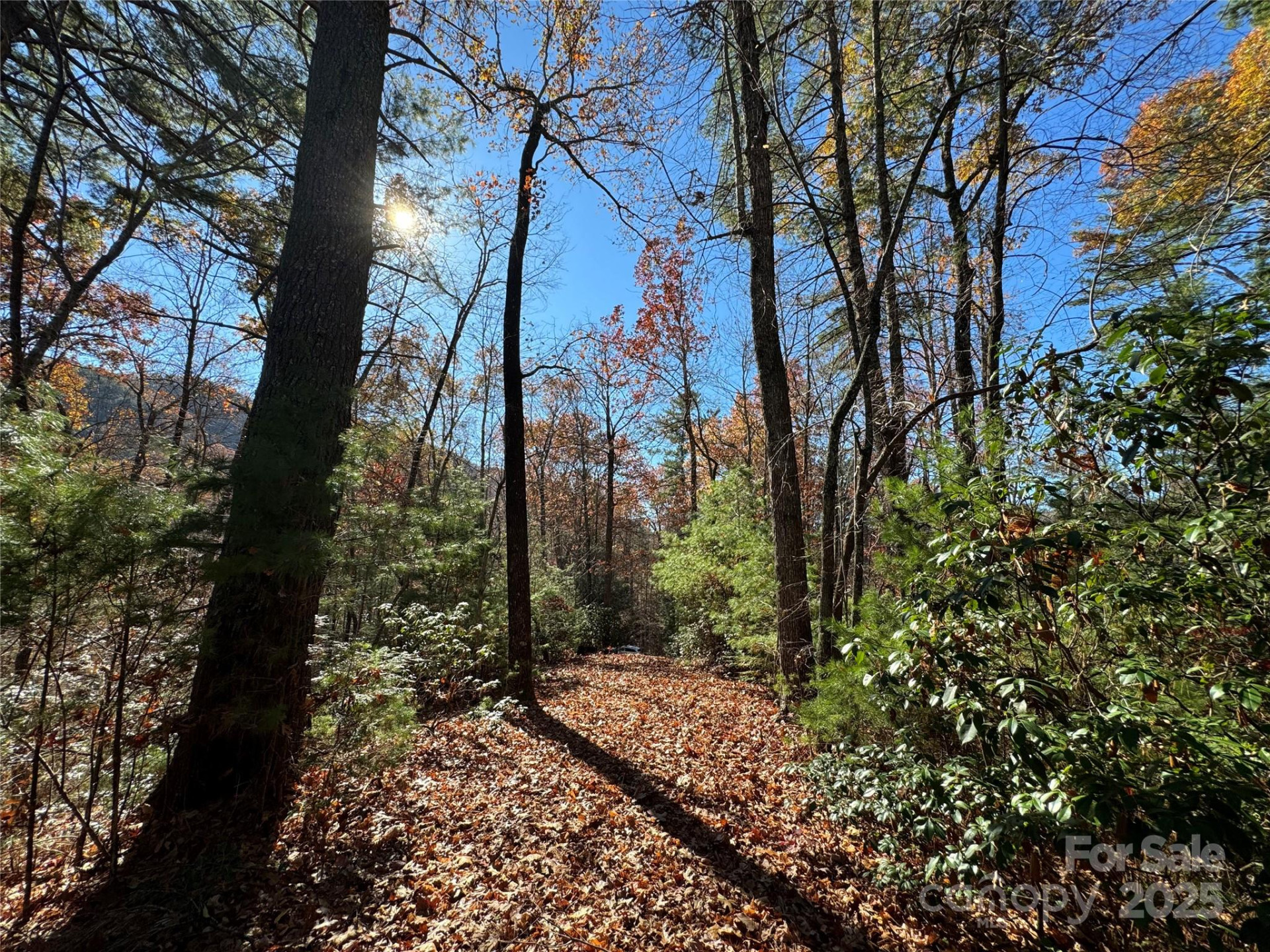 Site 5 Woodfen Lane - Photo 9