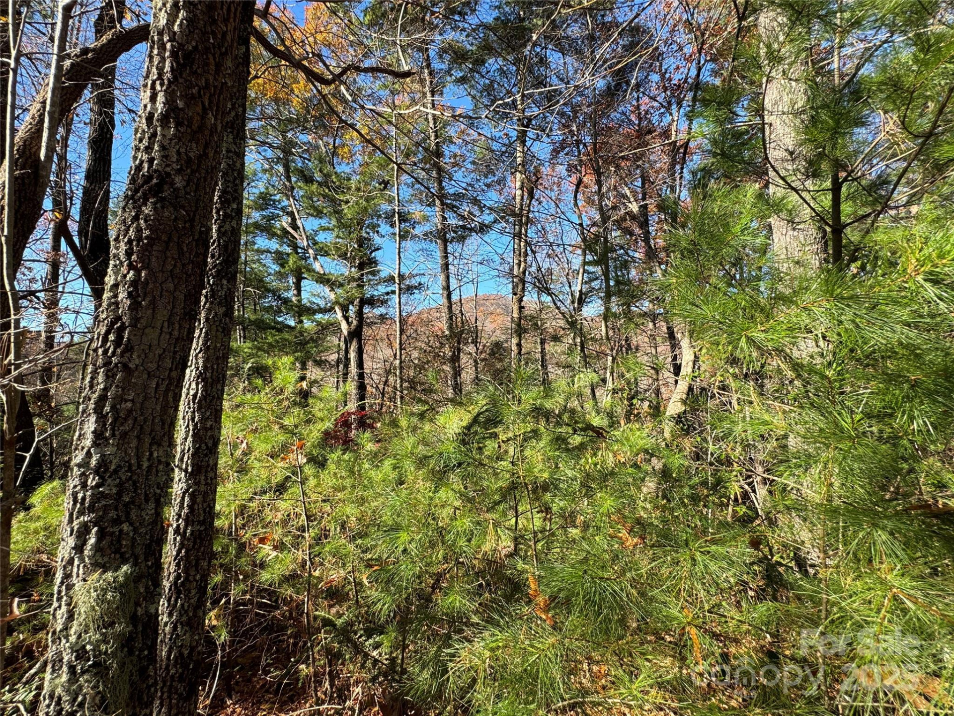 Site 5 Woodfen Lane - Photo 10