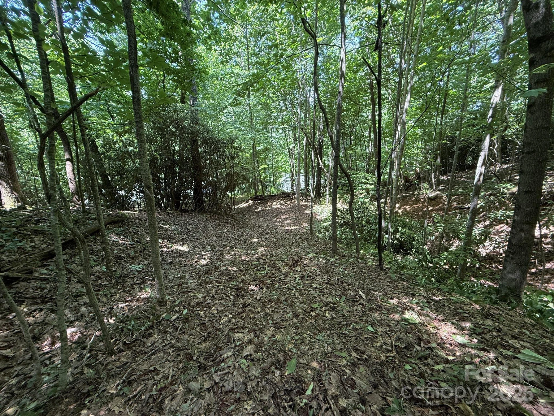 25 Fairview Pointe Drive