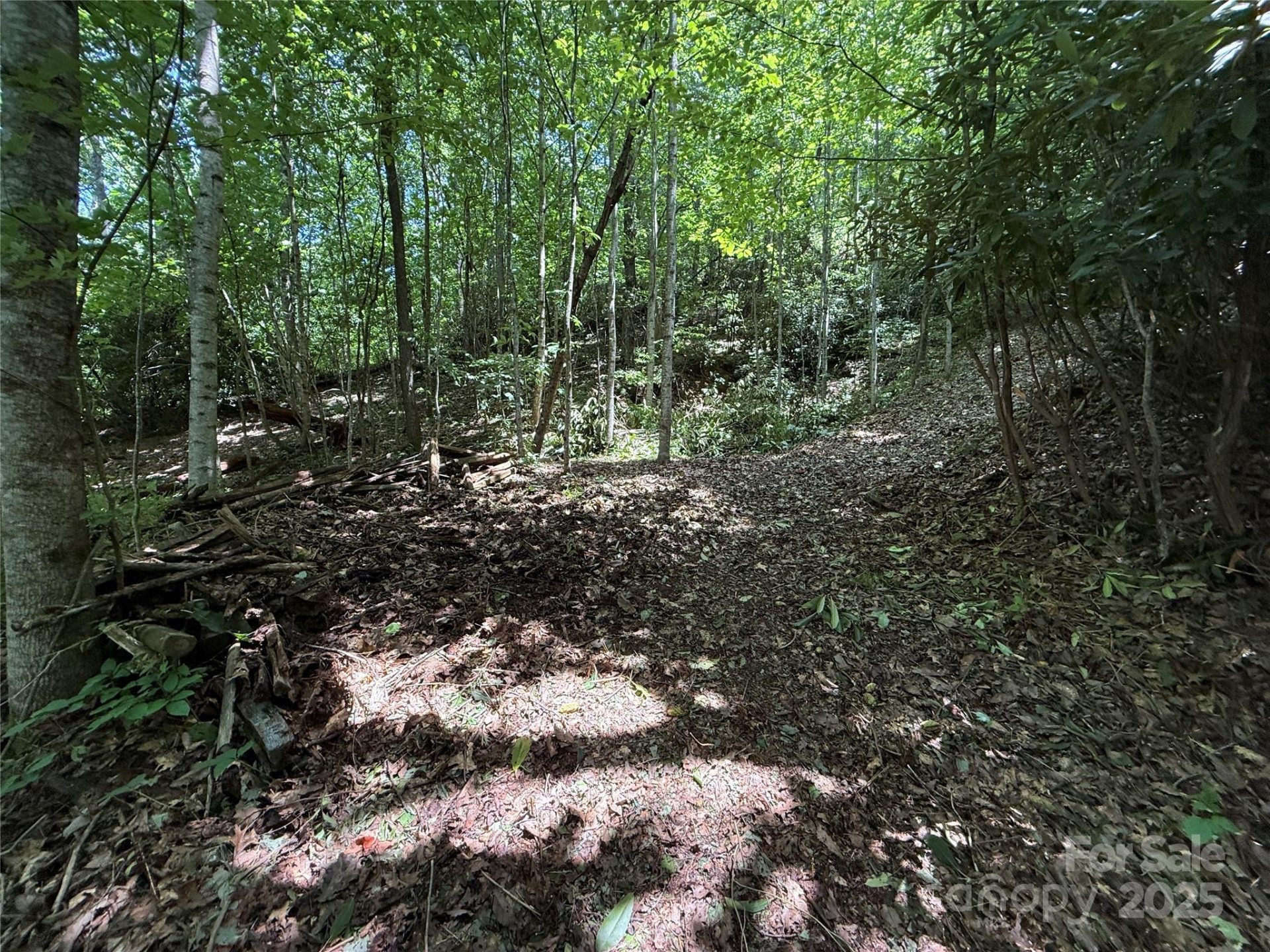 25 Fairview Pointe Drive - Photo 3