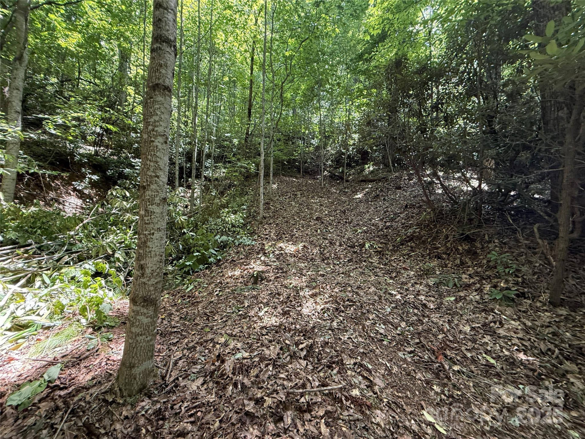 25 Fairview Pointe Drive - Photo 4