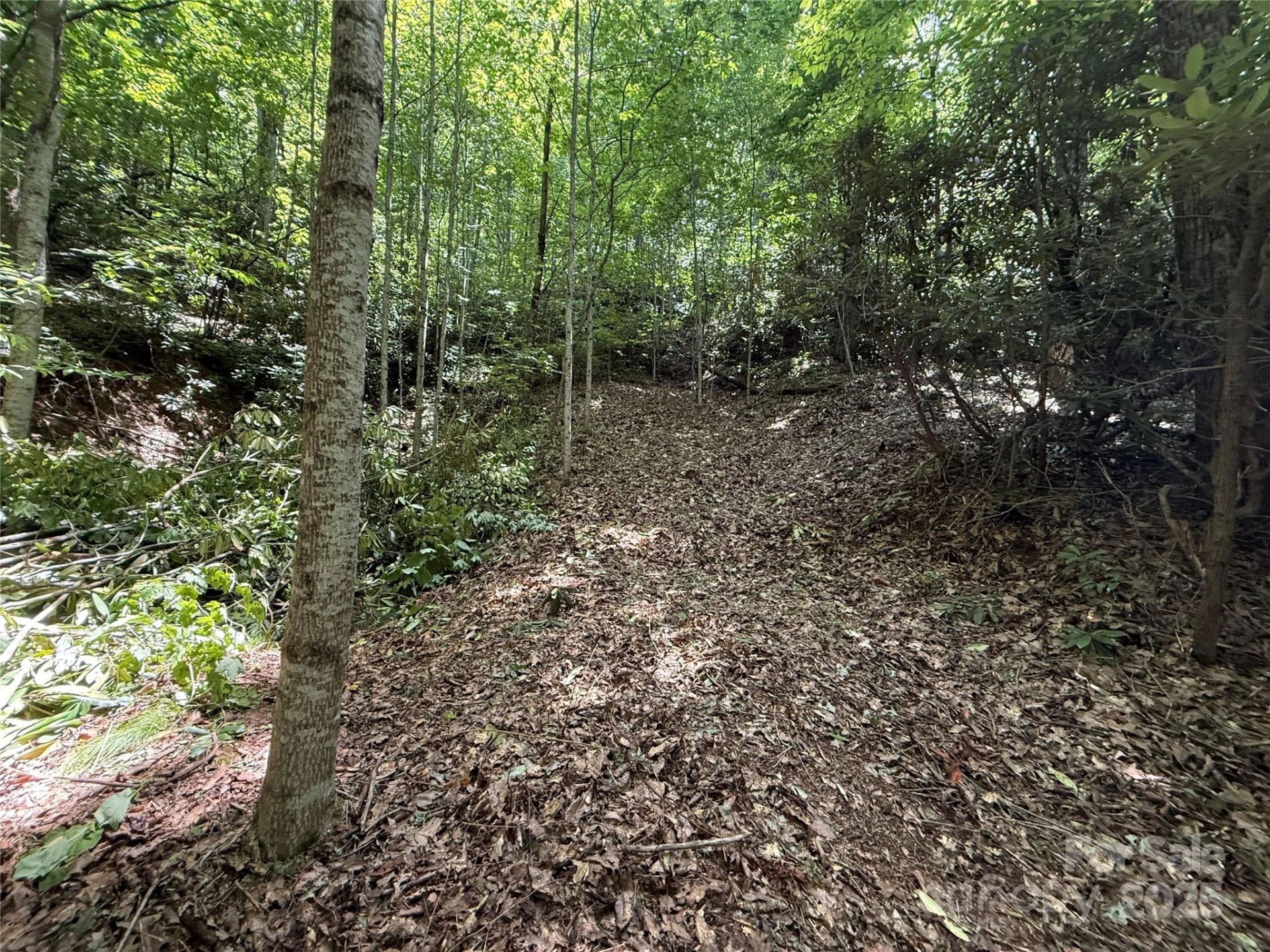 25 Fairview Pointe Drive - Photo 4