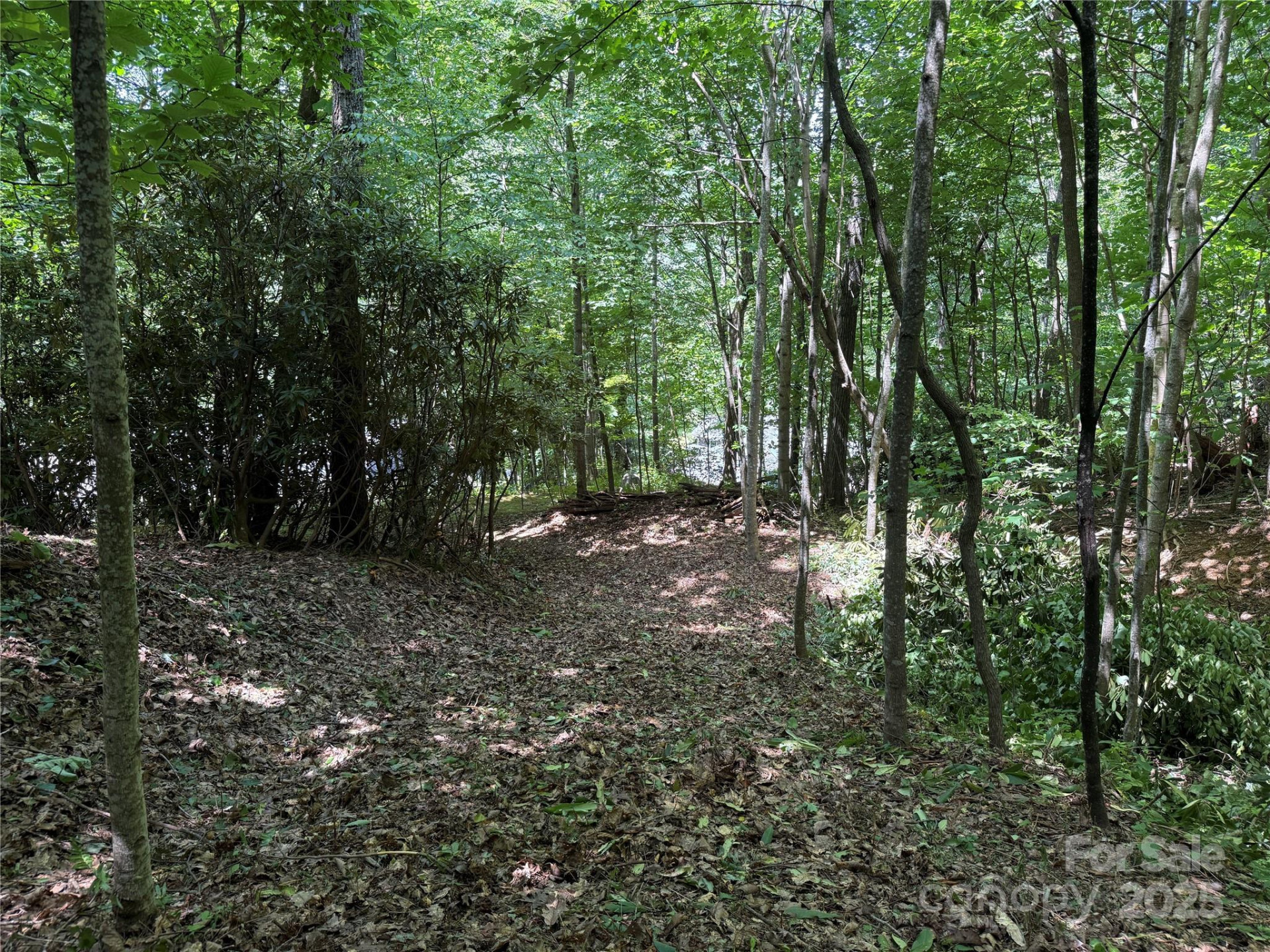 25 Fairview Pointe Drive - Photo 5