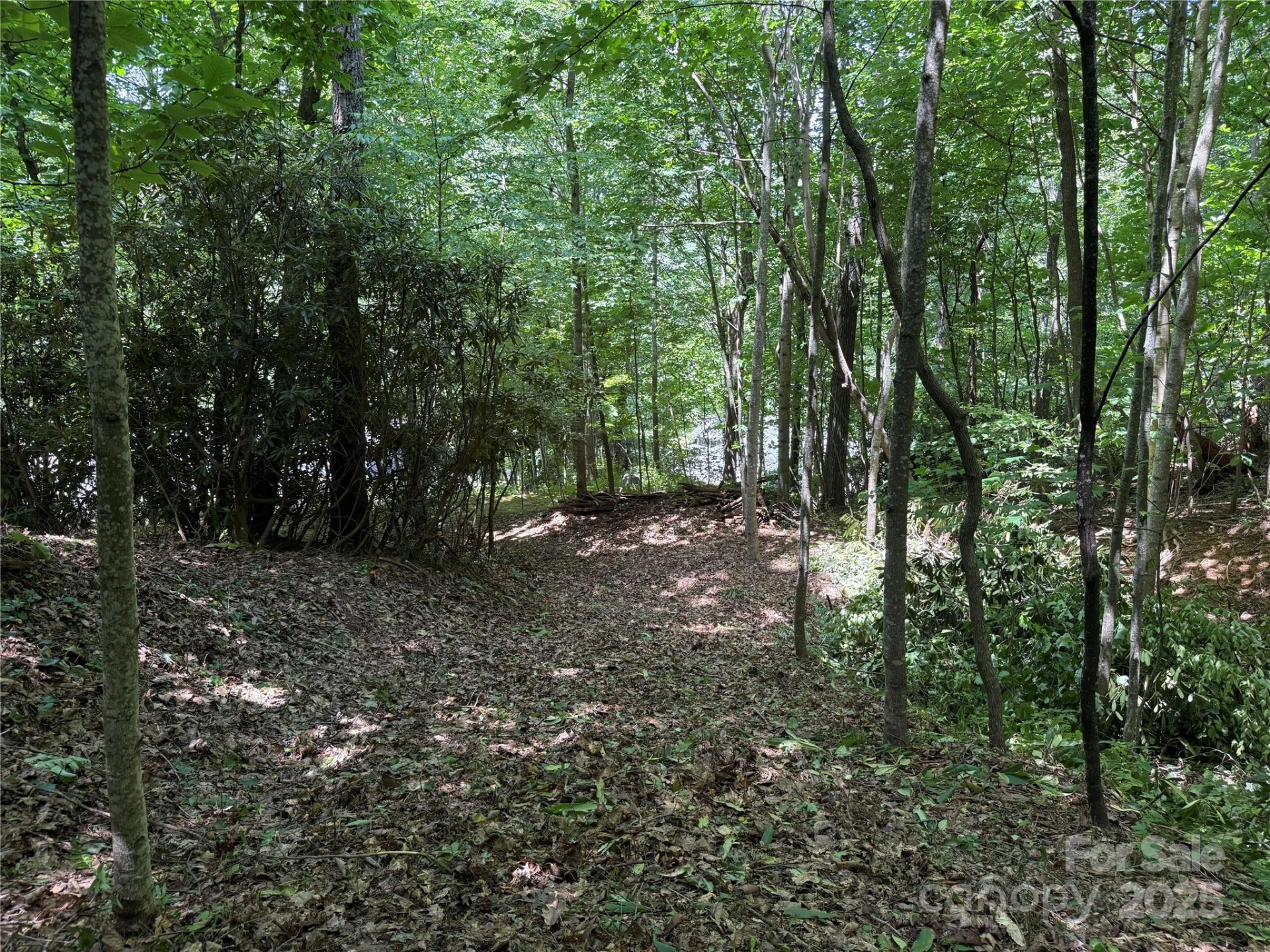 25 Fairview Pointe Drive - Photo 5