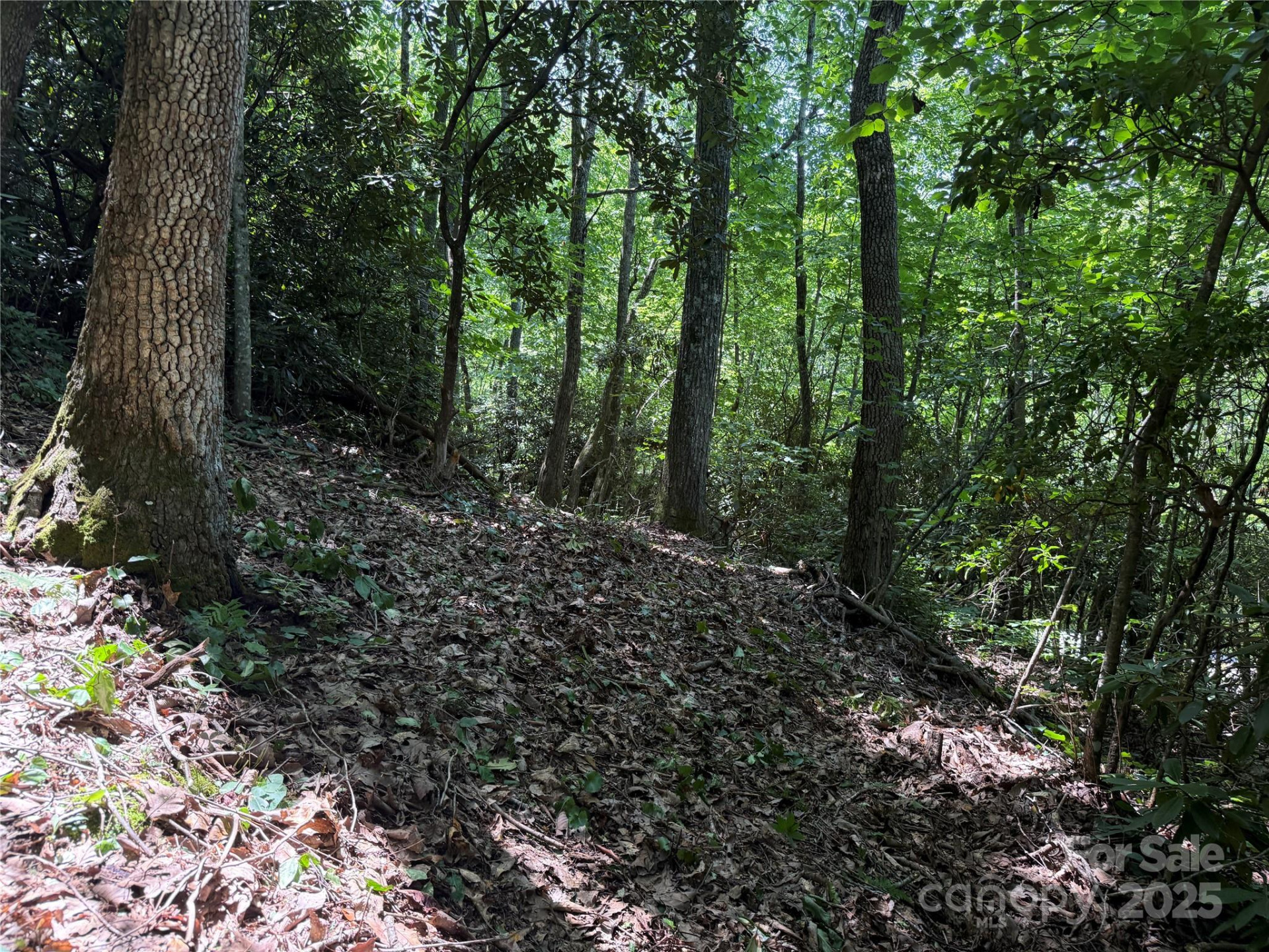 25 Fairview Pointe Drive - Photo 7