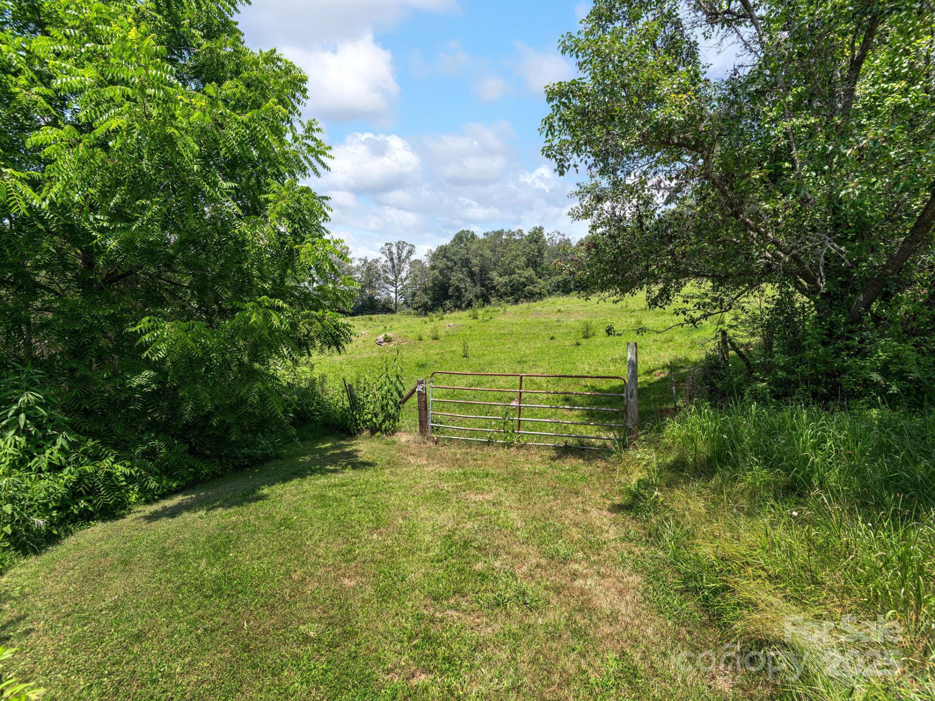 821 Crooked Creek Road - Photo 12