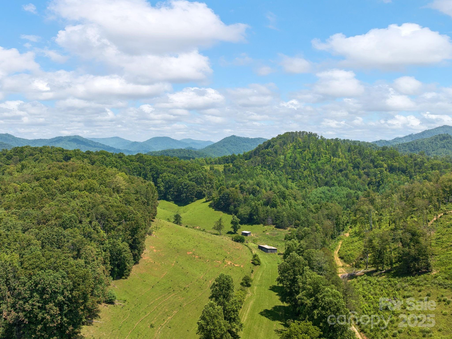 821 Crooked Creek Road - Photo 4