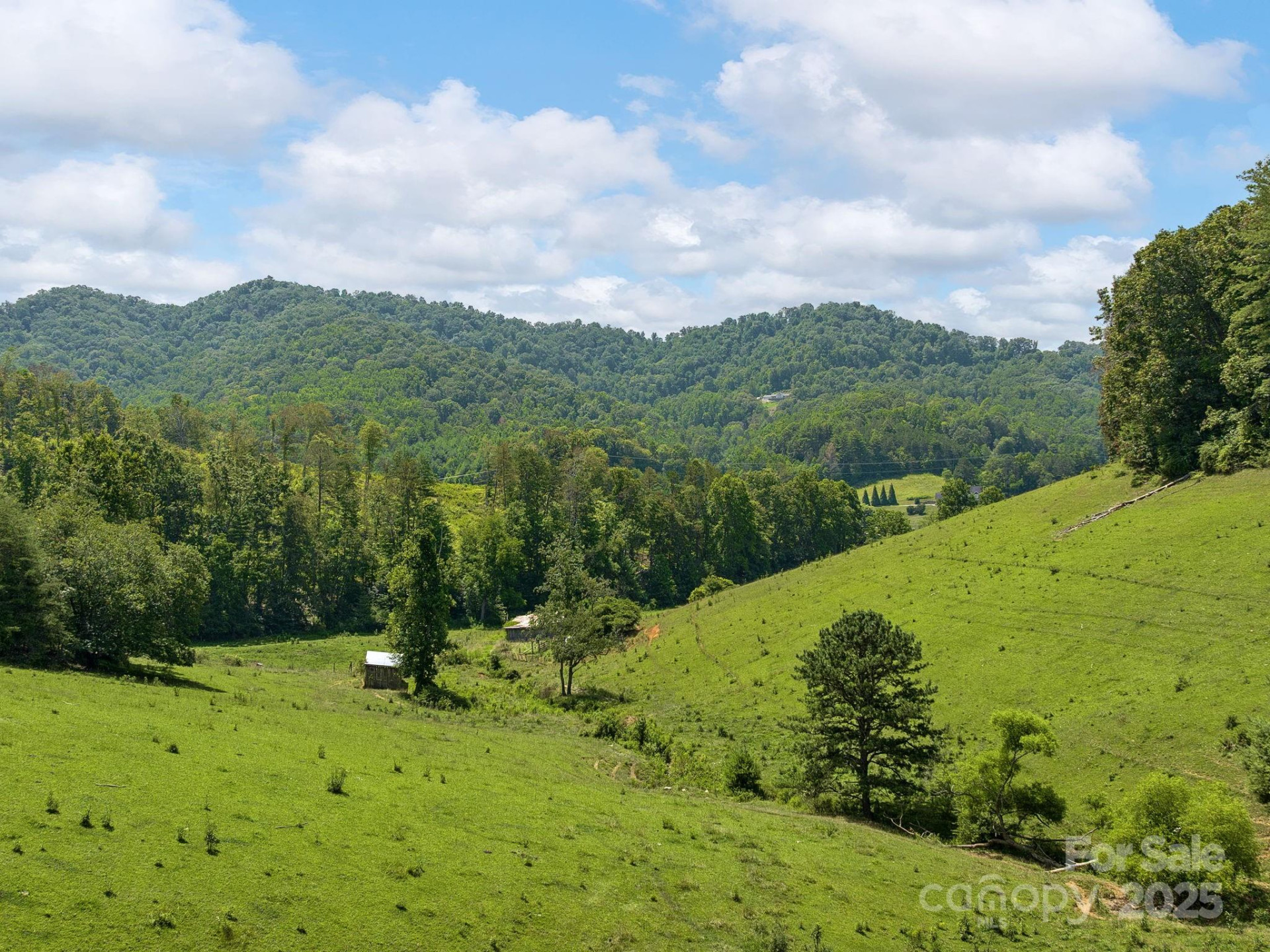 821 Crooked Creek Road - Photo 8