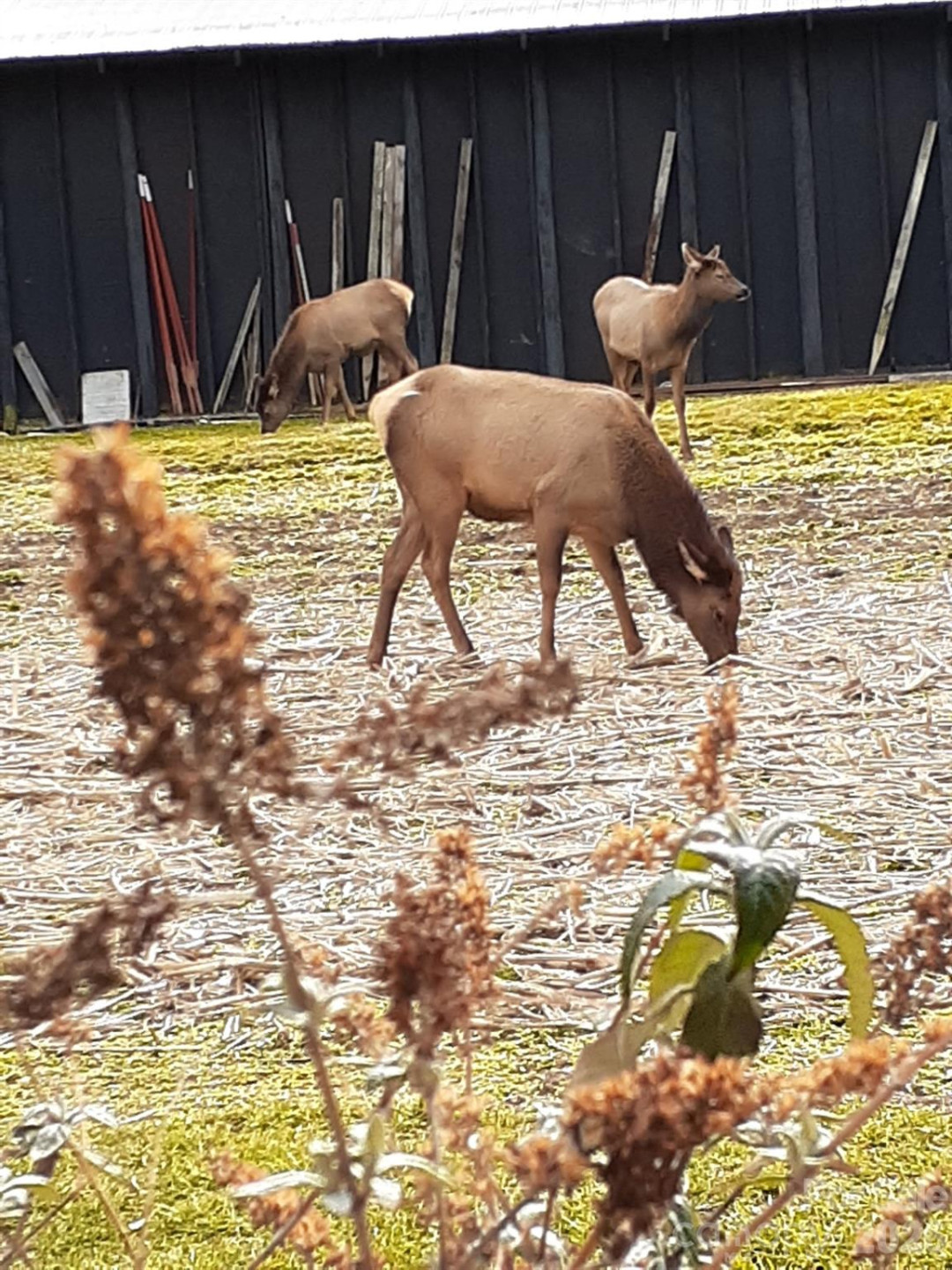 94 Market Street - Photo 27