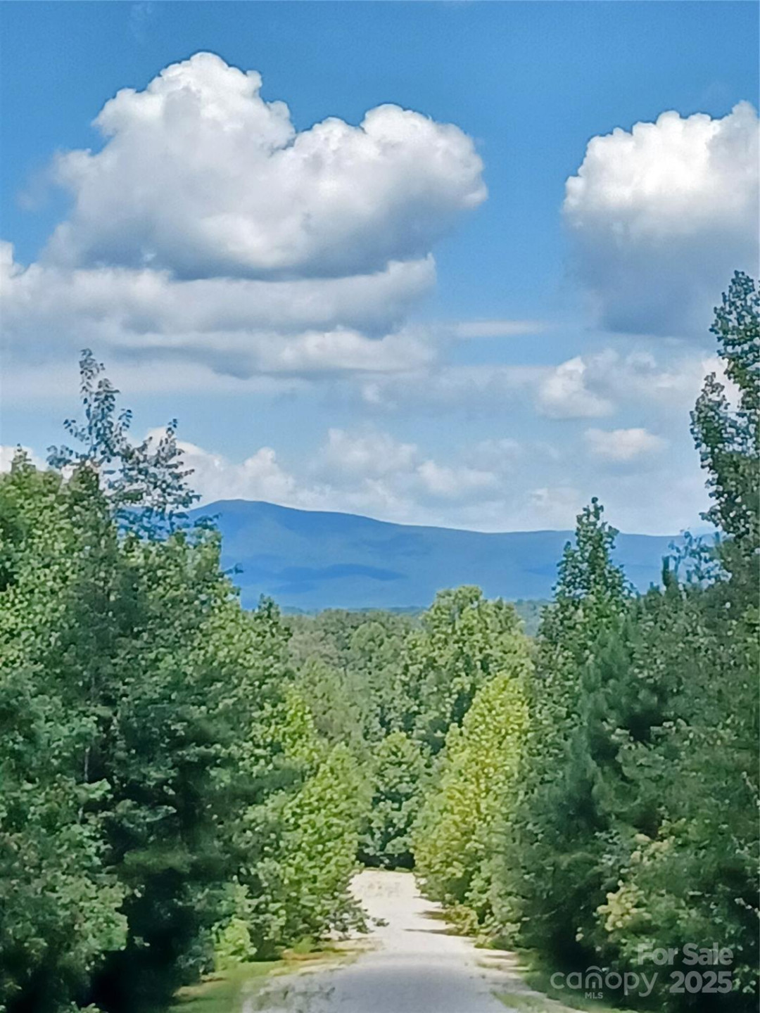 31 Hull Avenue - Photo 5