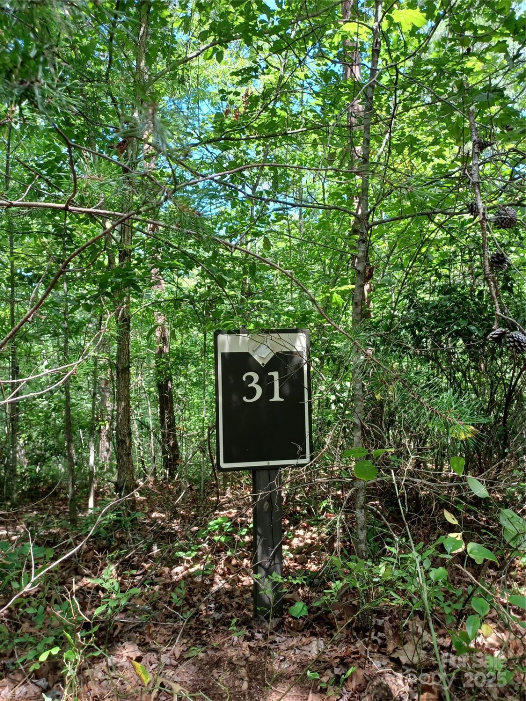 88 Lowden Drive #88 - Photo 3