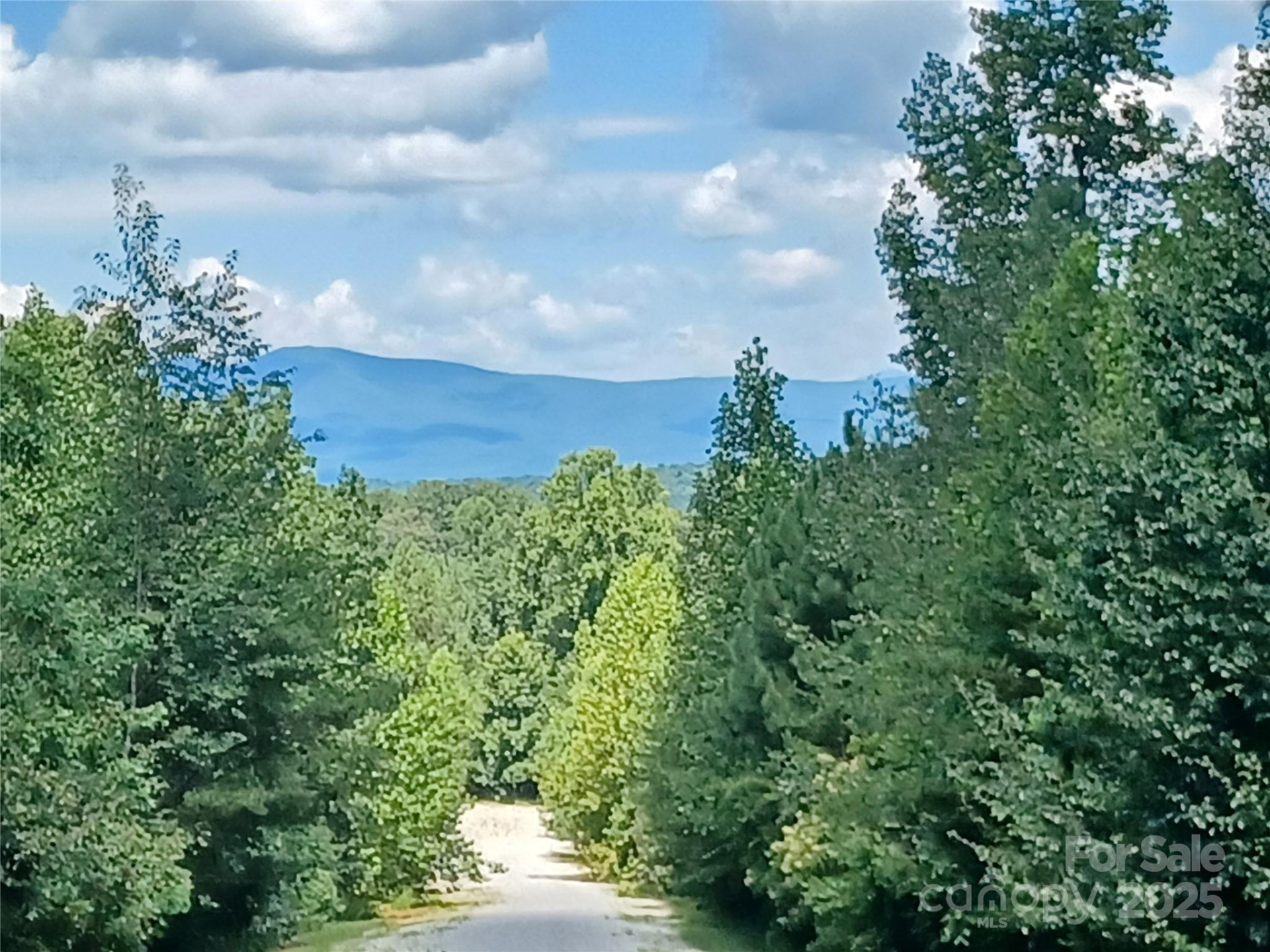 88 Lowden Drive #88 - Photo 6