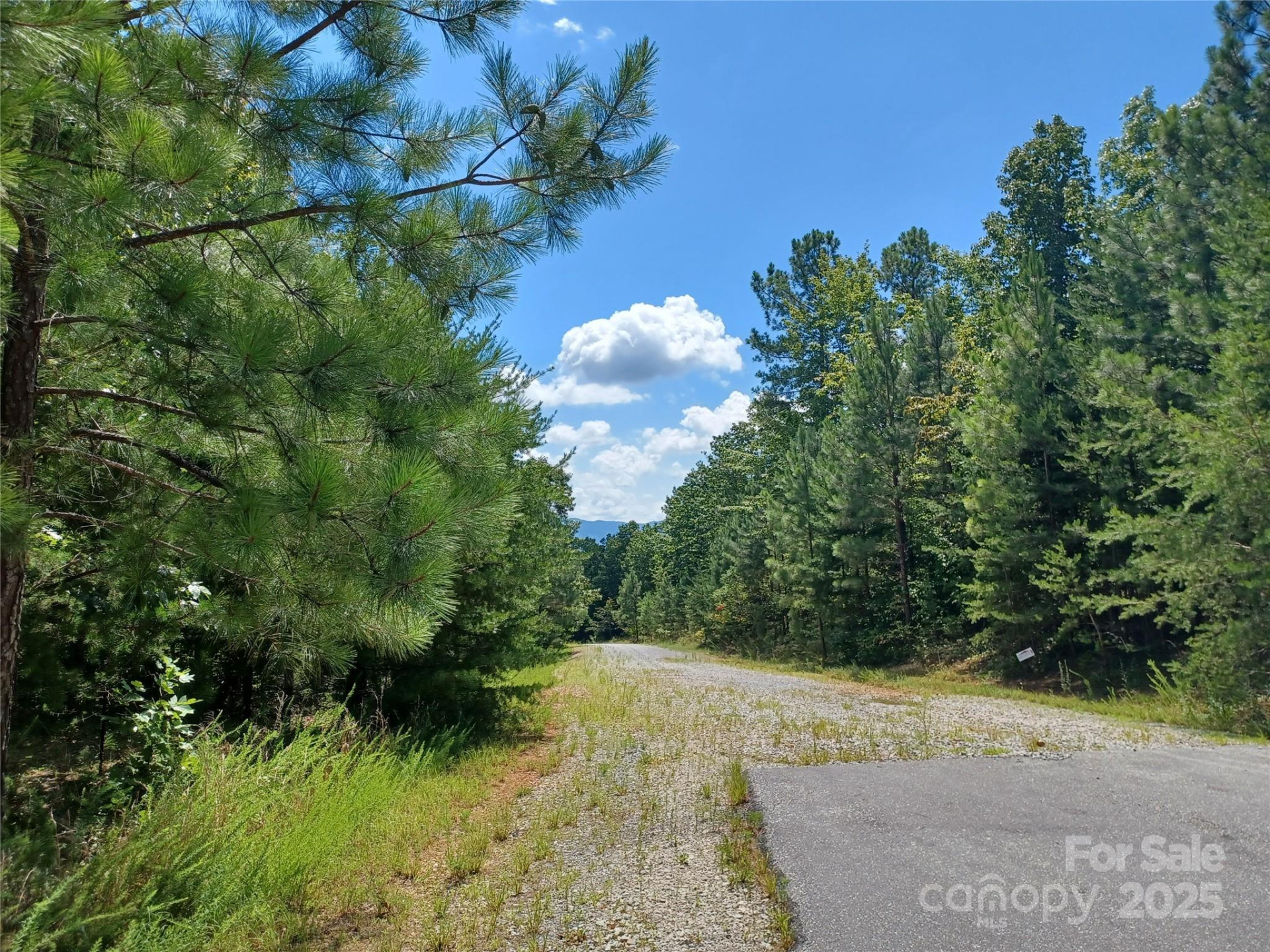 88 Lowden Drive #88 - Photo 8