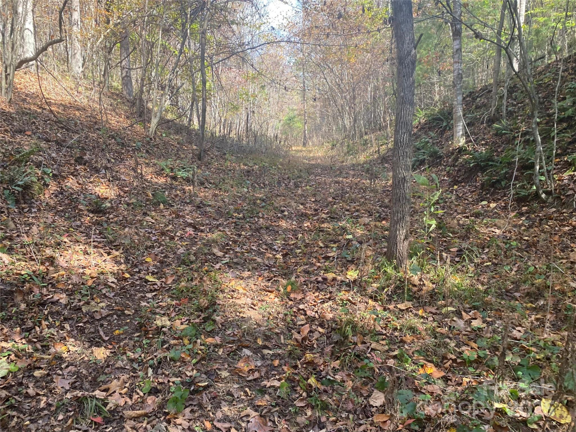 23 Lana Lane - Photo 28