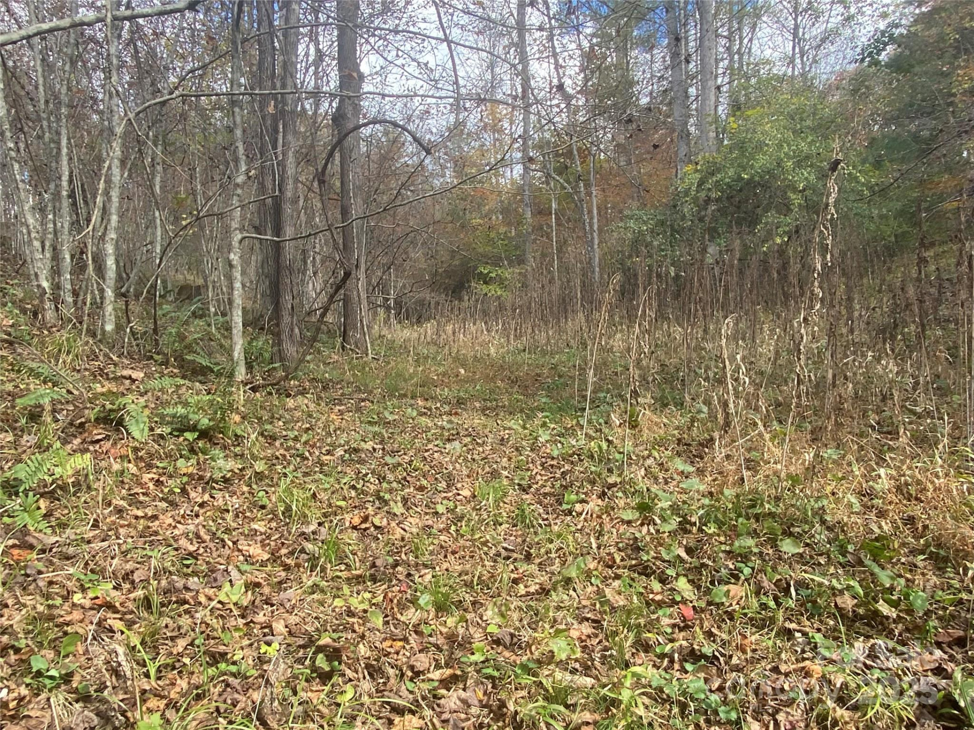 23 Lana Lane - Photo 29