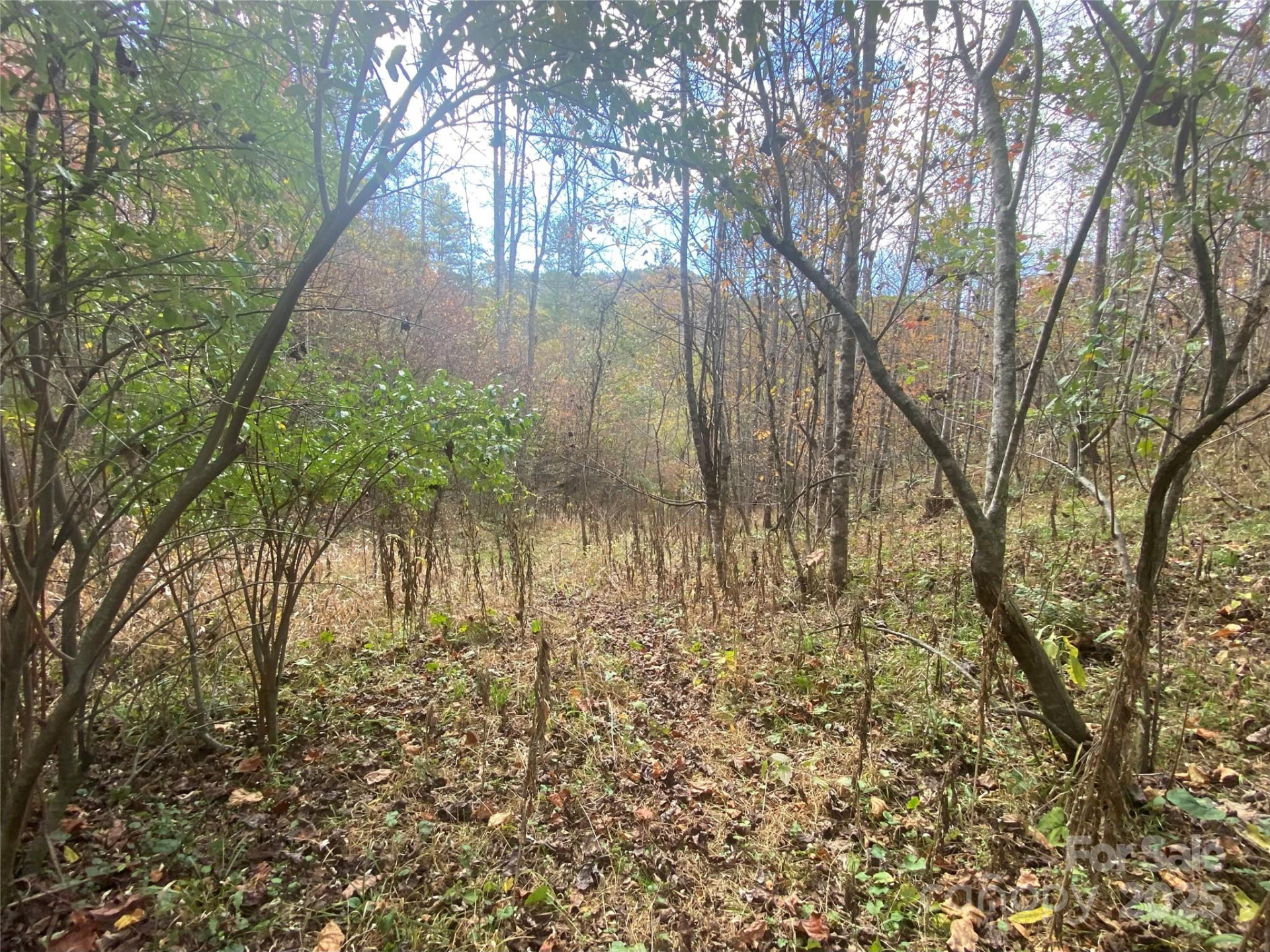 23 Lana Lane - Photo 30