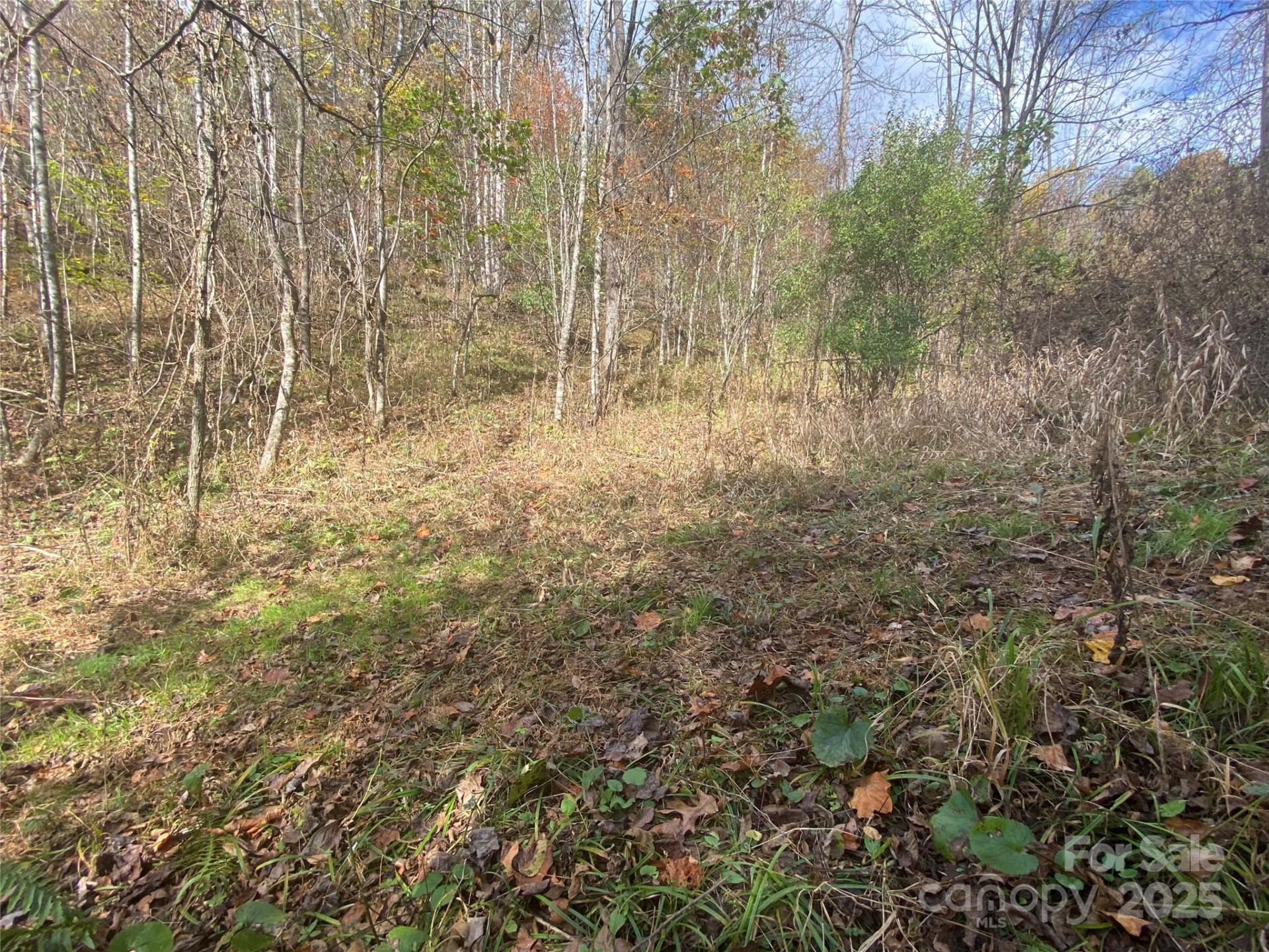 23 Lana Lane - Photo 31