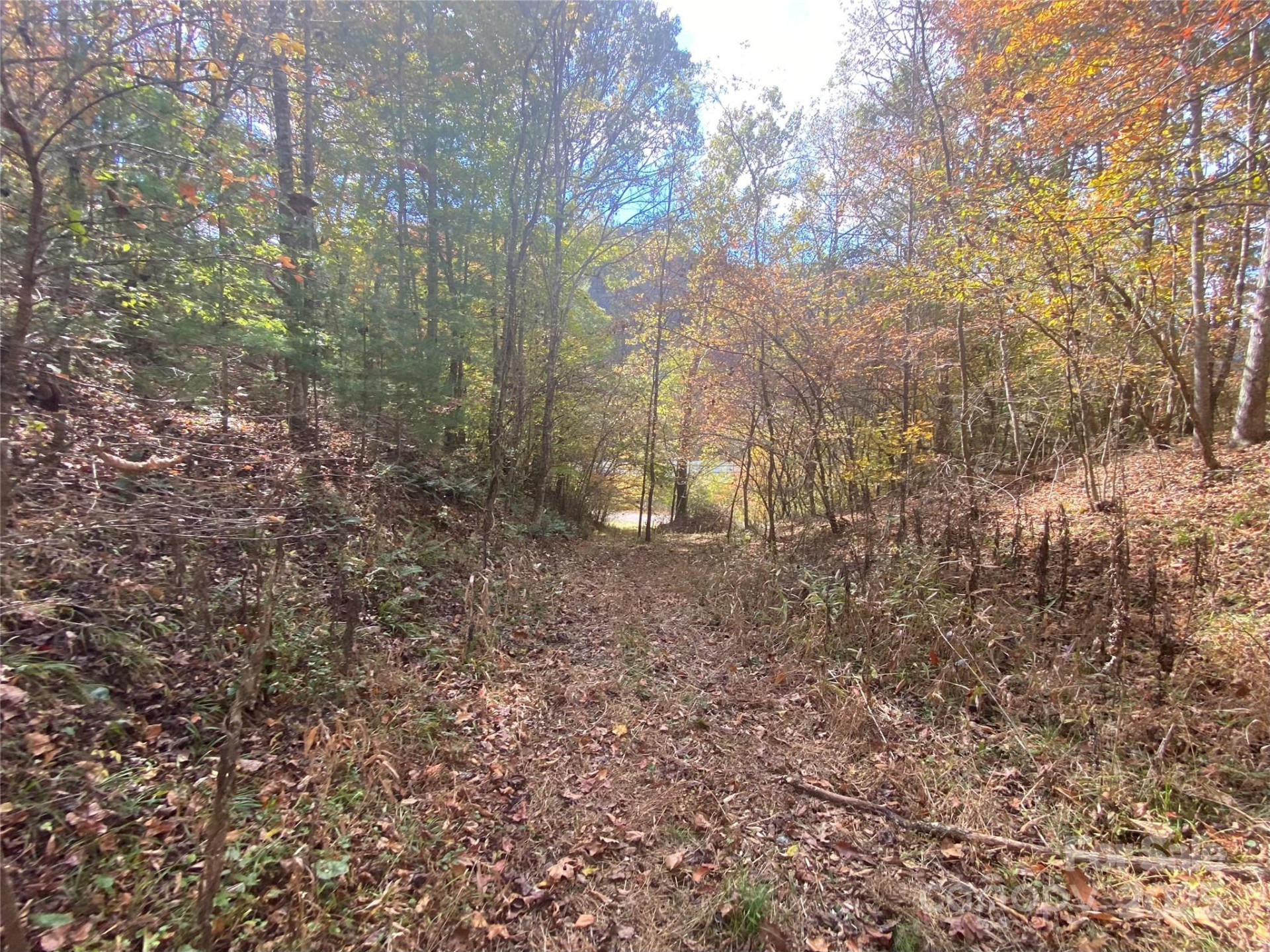 23 Lana Lane - Photo 32