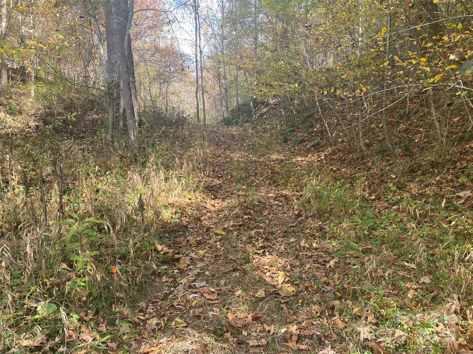 23 Lana Lane - Photo 33