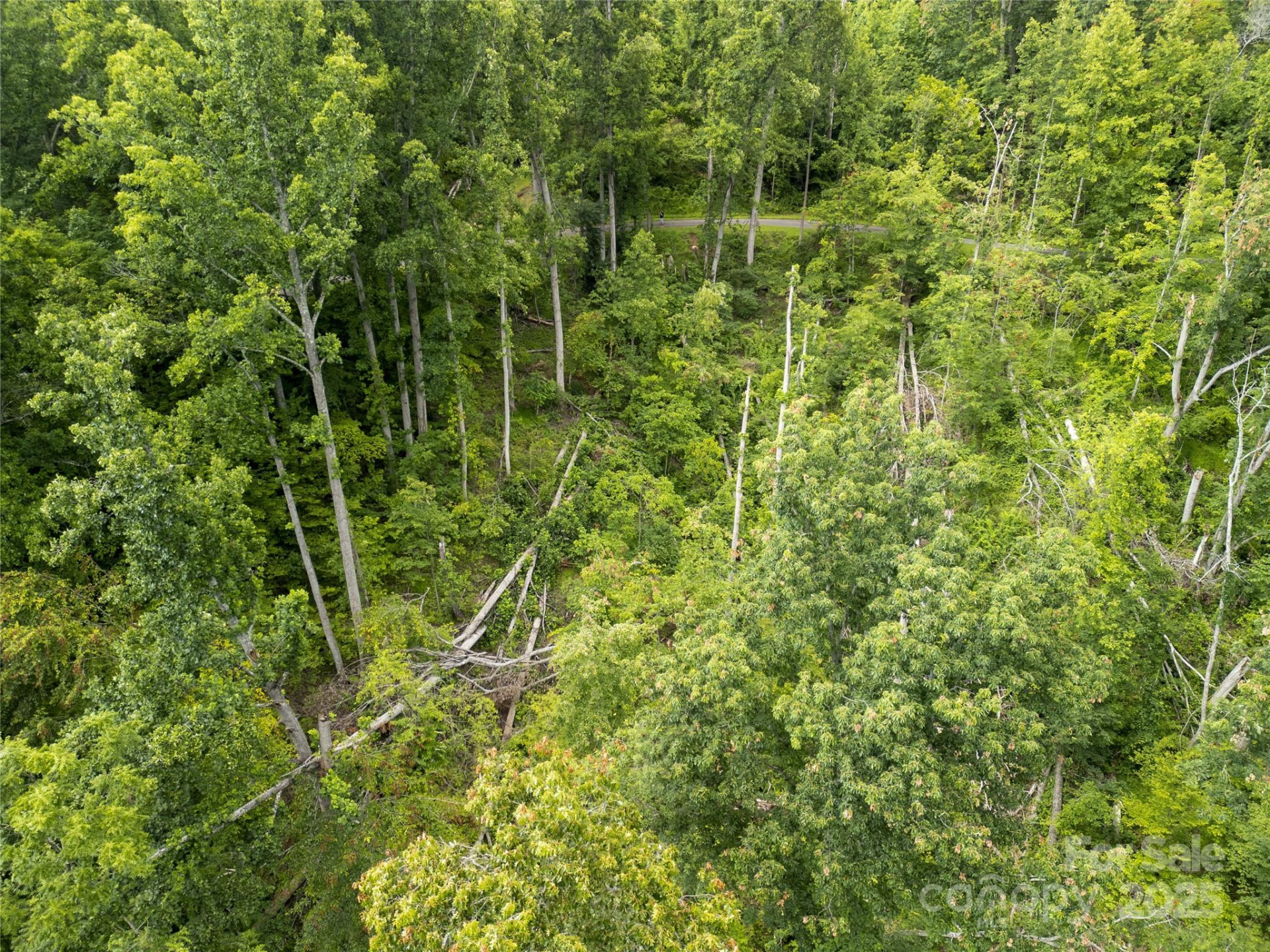 364 Chisel Rock Way - Photo 15