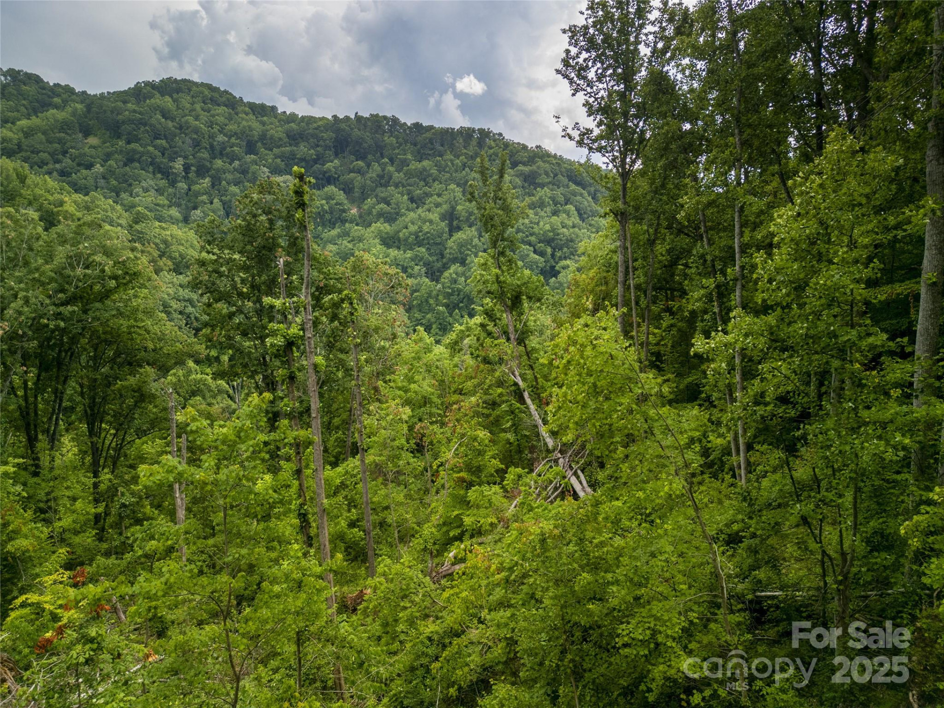 364 Chisel Rock Way - Photo 19