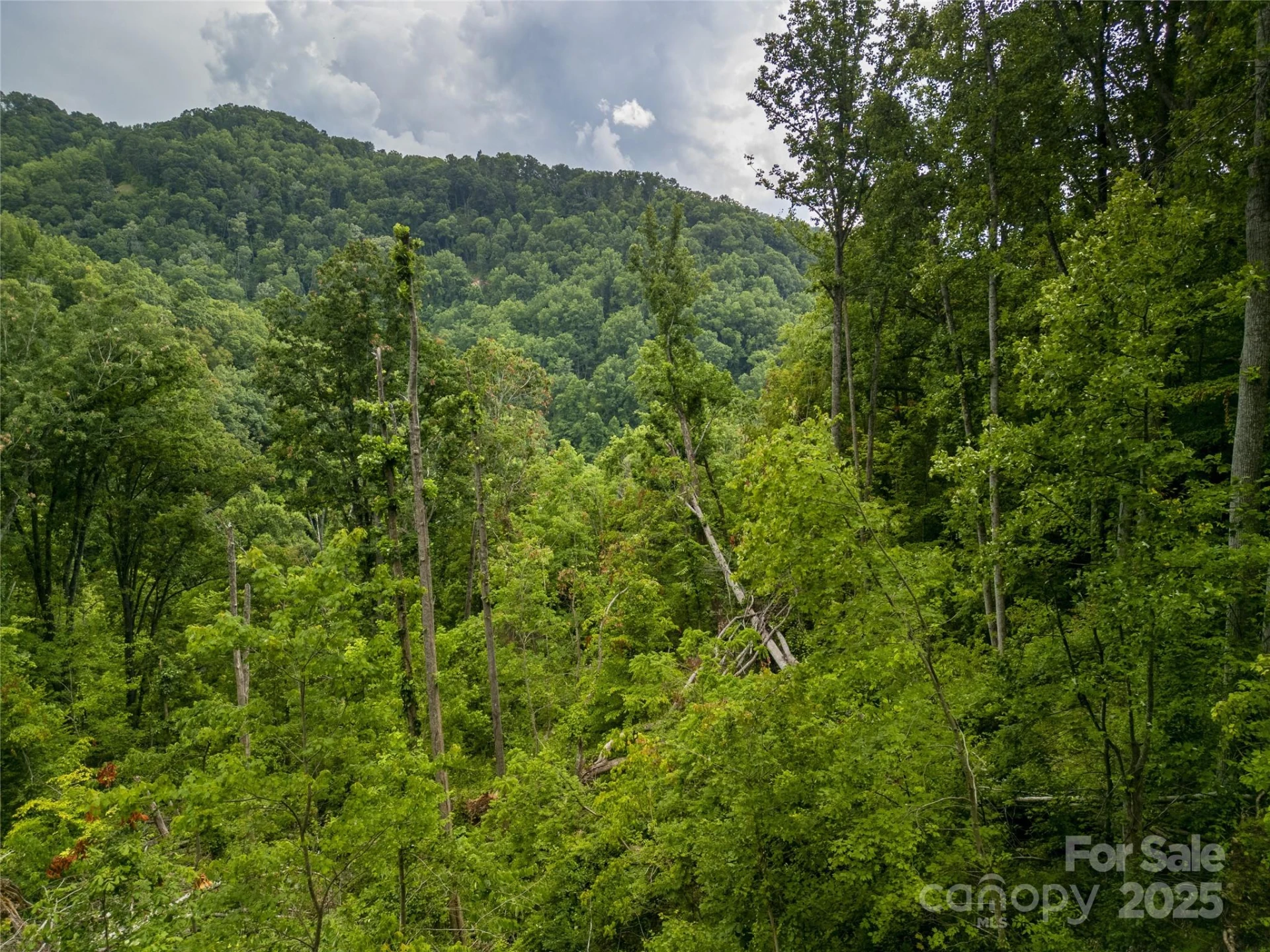 364 Chisel Rock Way - Photo 19