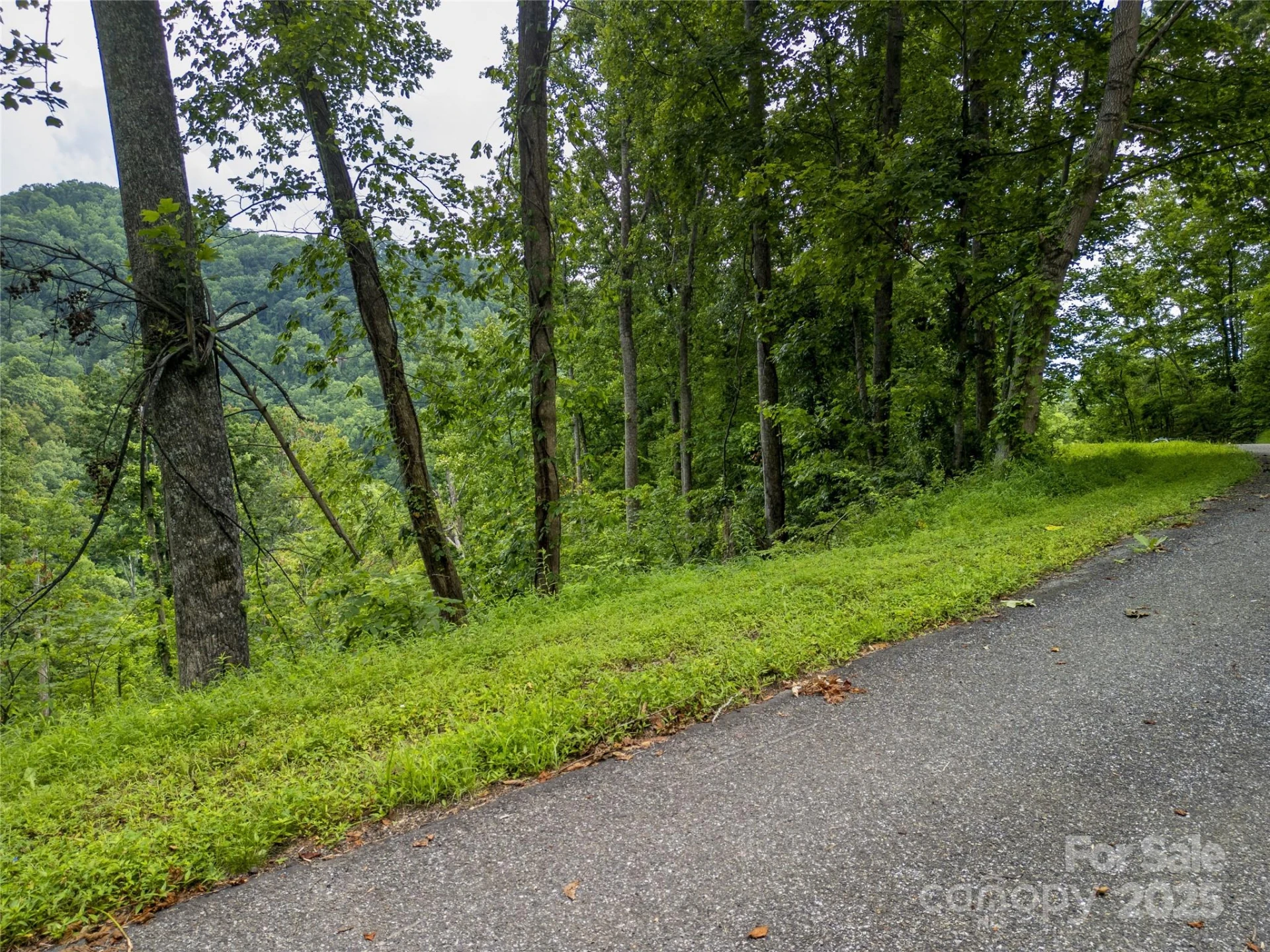 364 Chisel Rock Way - Photo 3