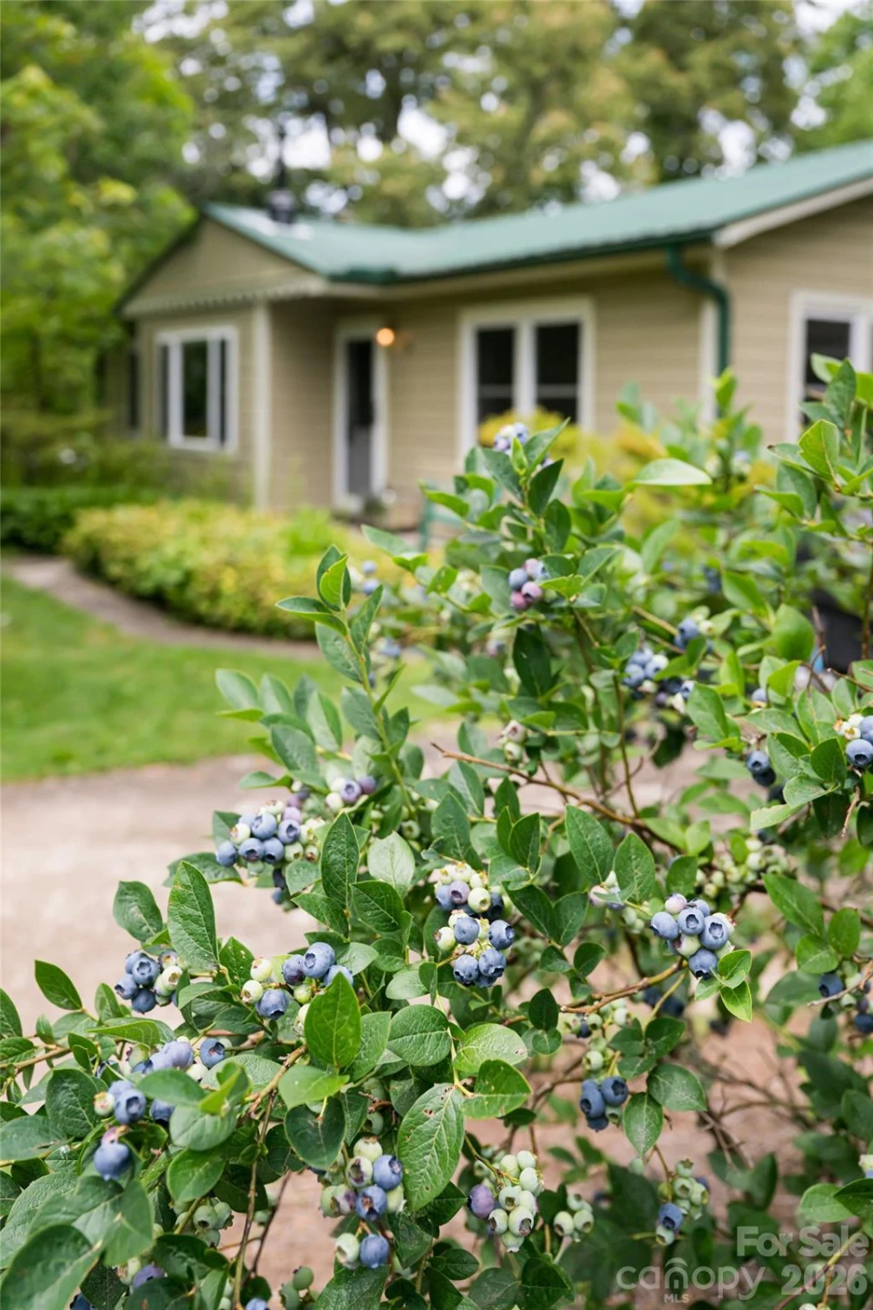 75 Cisco Road - Photo 19
