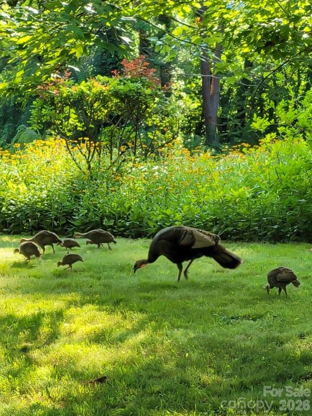 75 Cisco Road - Photo 20