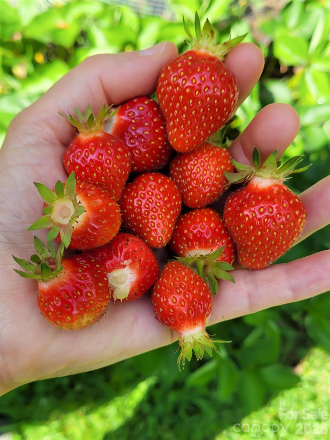 75 Cisco Road - Photo 21