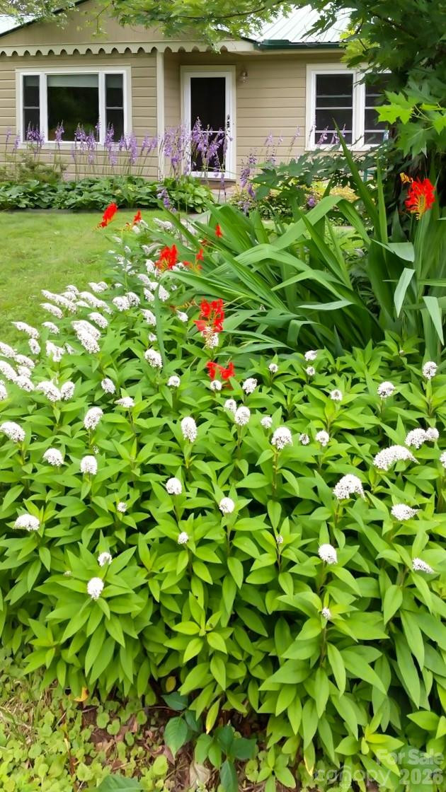 75 Cisco Road - Photo 23