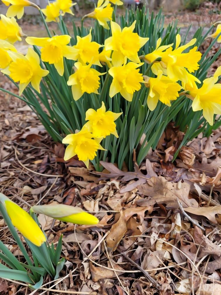 75 Cisco Road - Photo 46