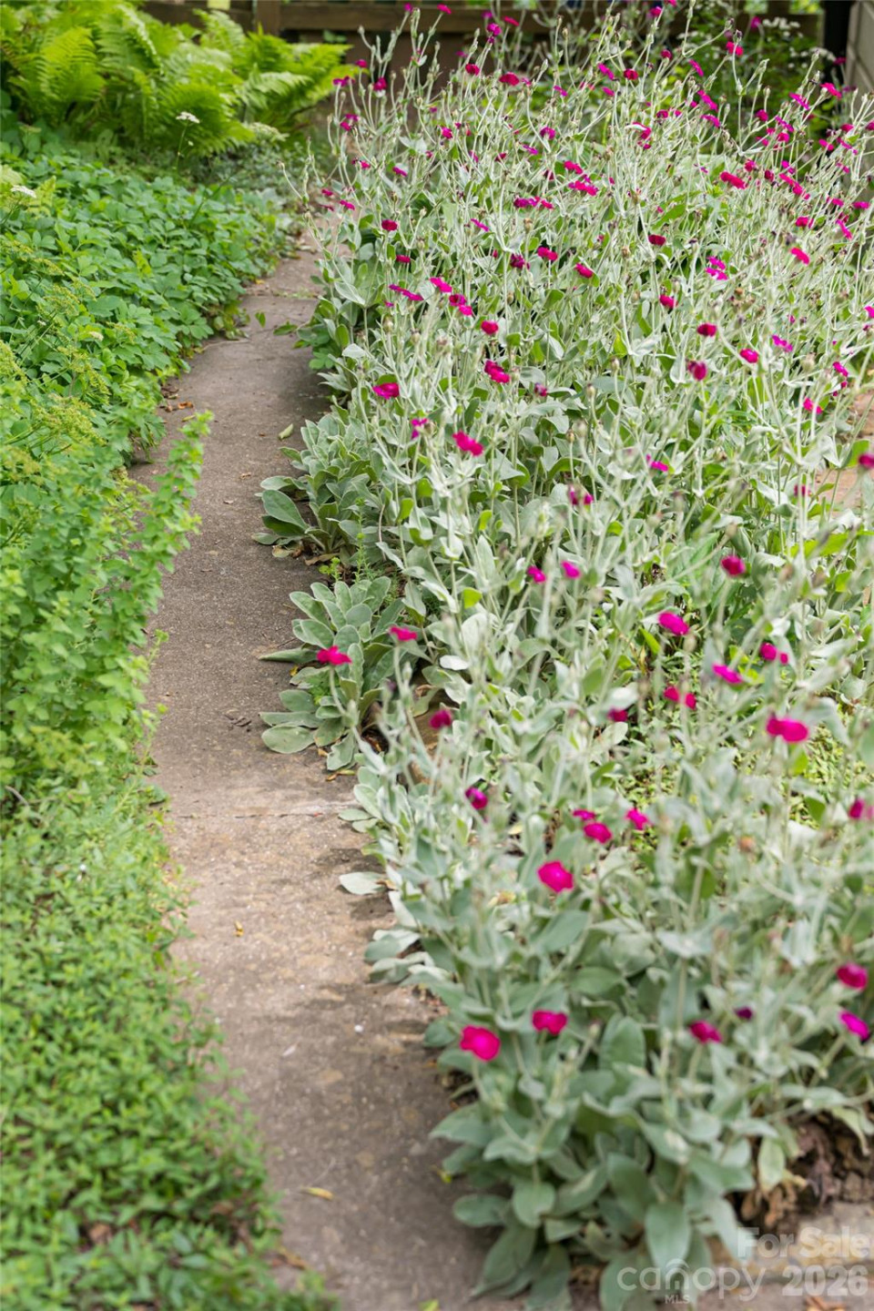 75 Cisco Road - Photo 48