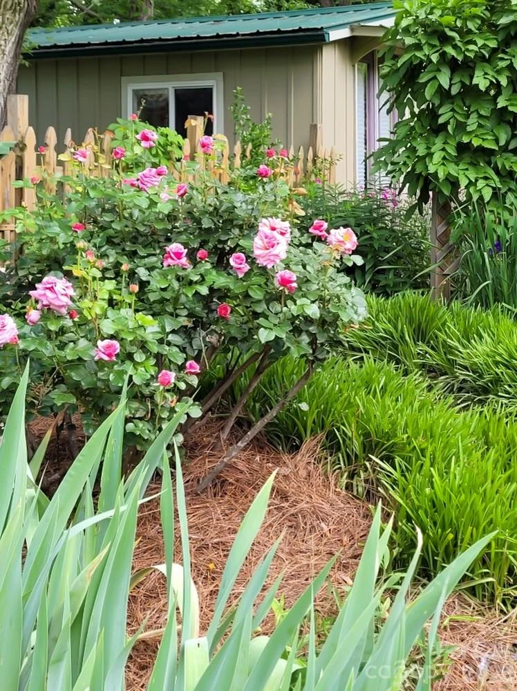 75 Cisco Road - Photo 8