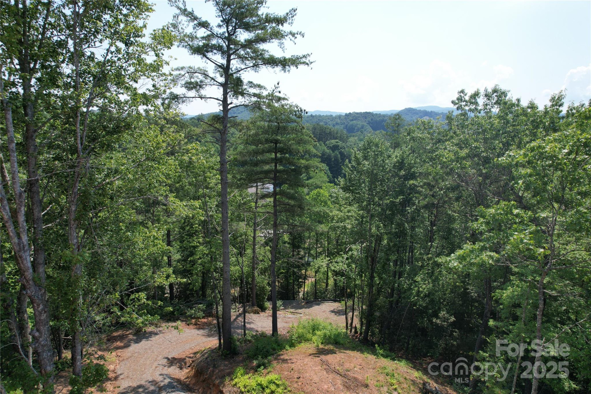 TBD Bryson Road - Photo 5