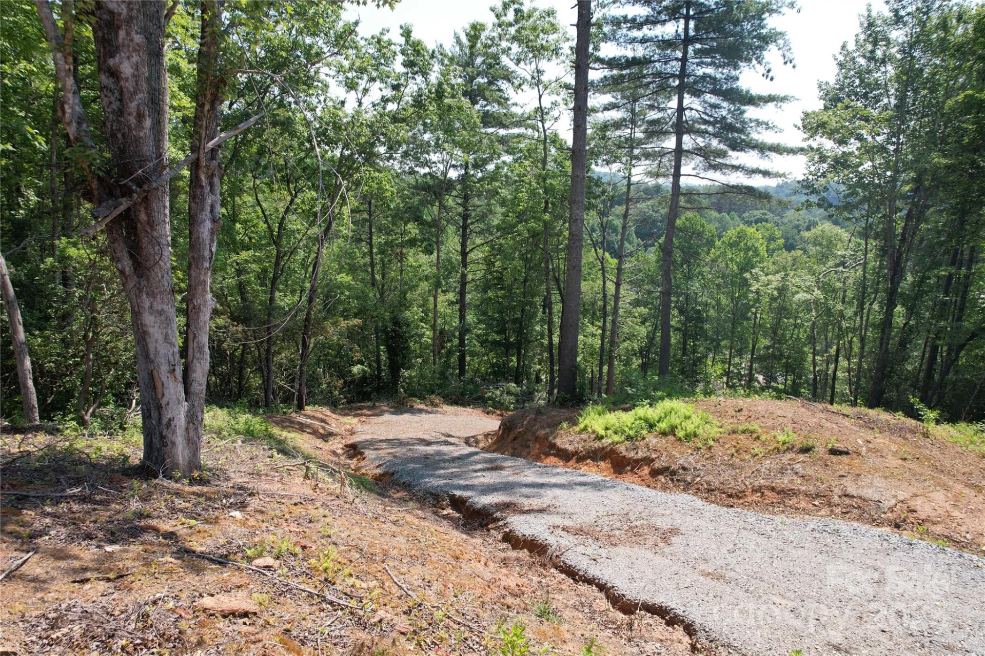 TBD Bryson Road - Photo 7