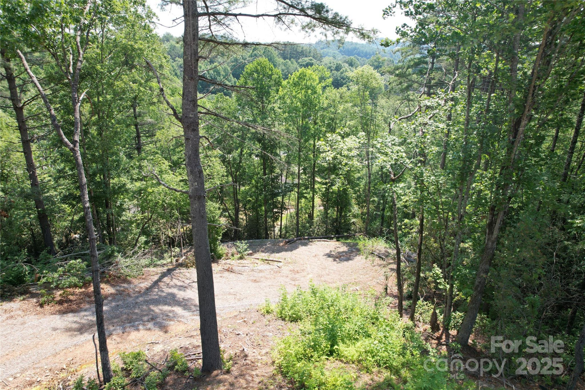 TBD Bryson Road - Photo 8