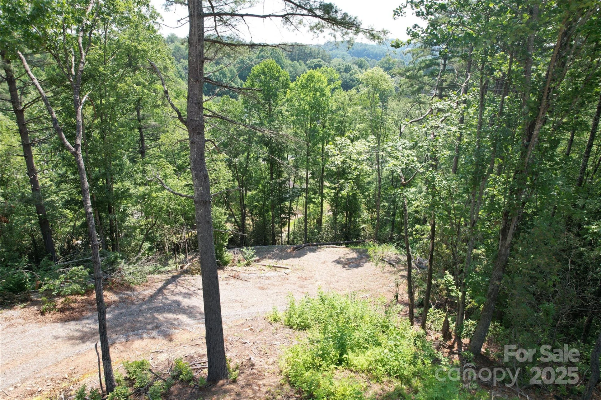 TBD Bryson Road - Photo 8