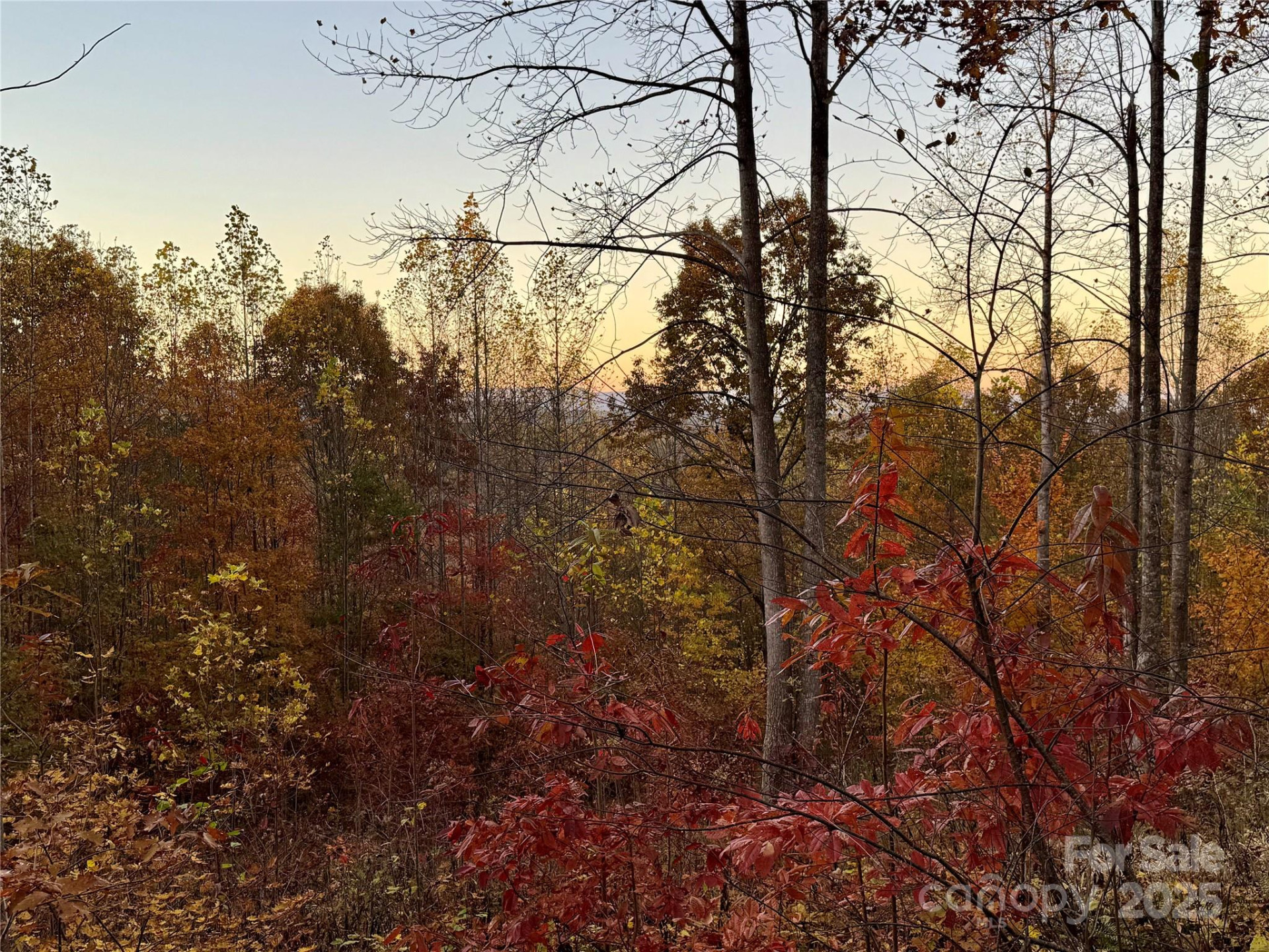 19 Meditation Ridge Extension - Photo 2