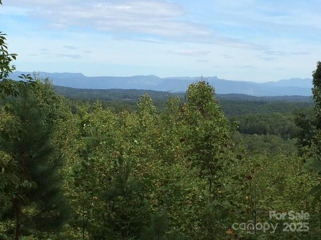 19 Meditation Ridge Extension - Photo 18