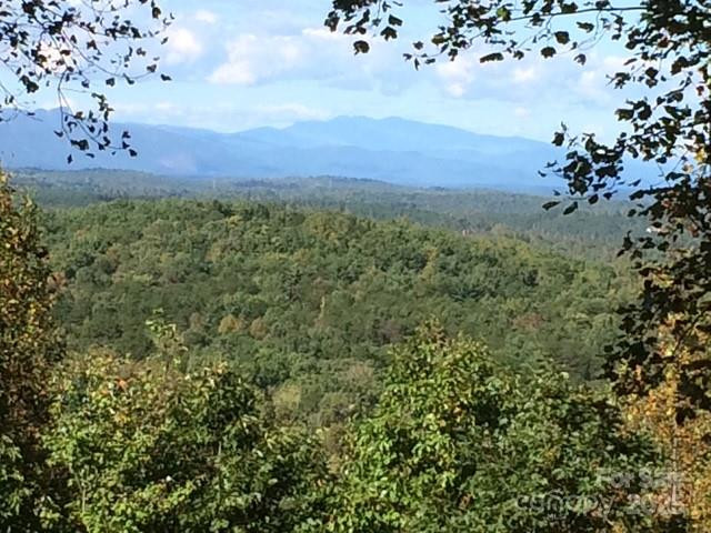 19 Meditation Ridge Extension - Photo 19