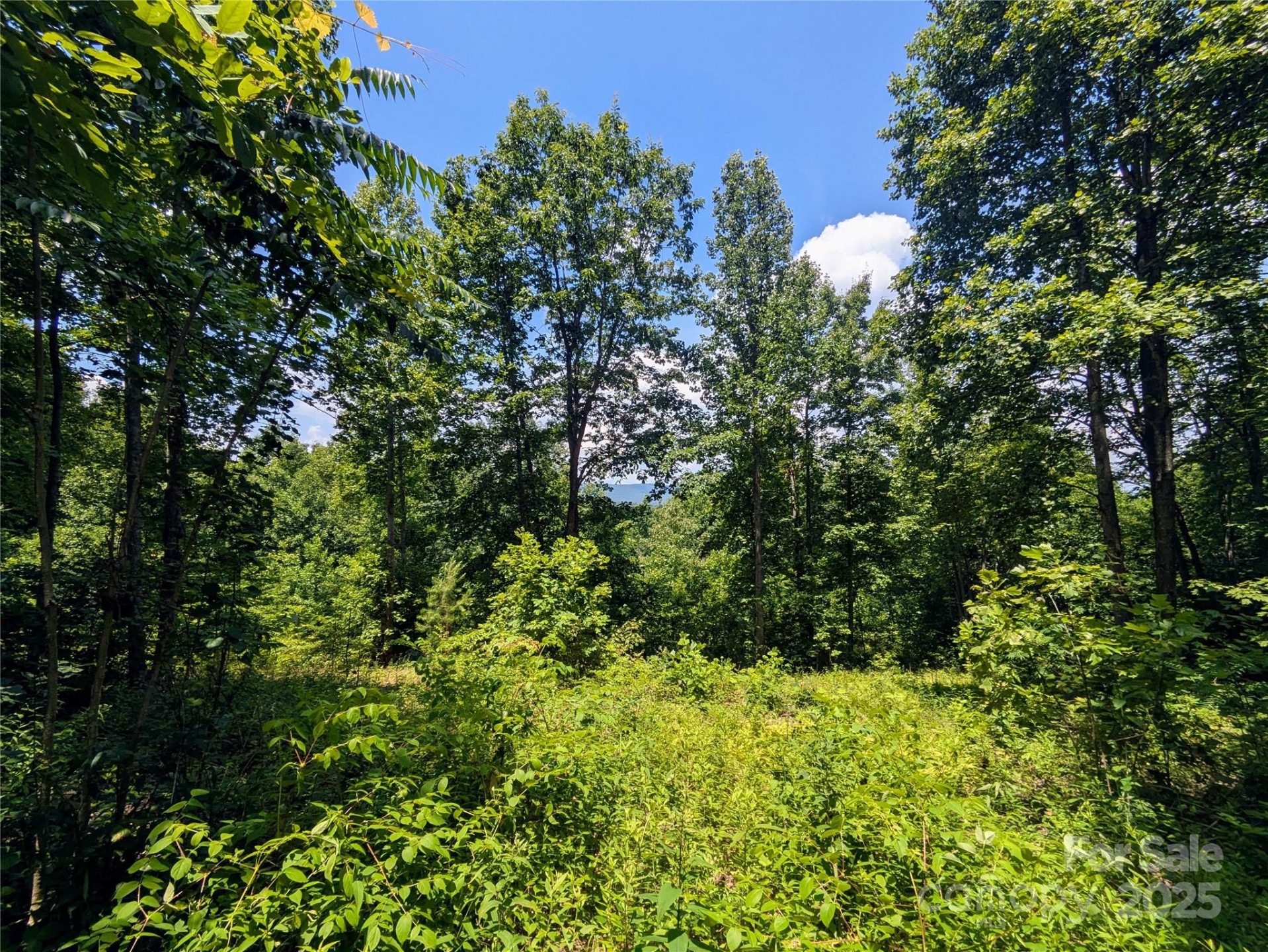 19 Meditation Ridge Extension - Photo 20