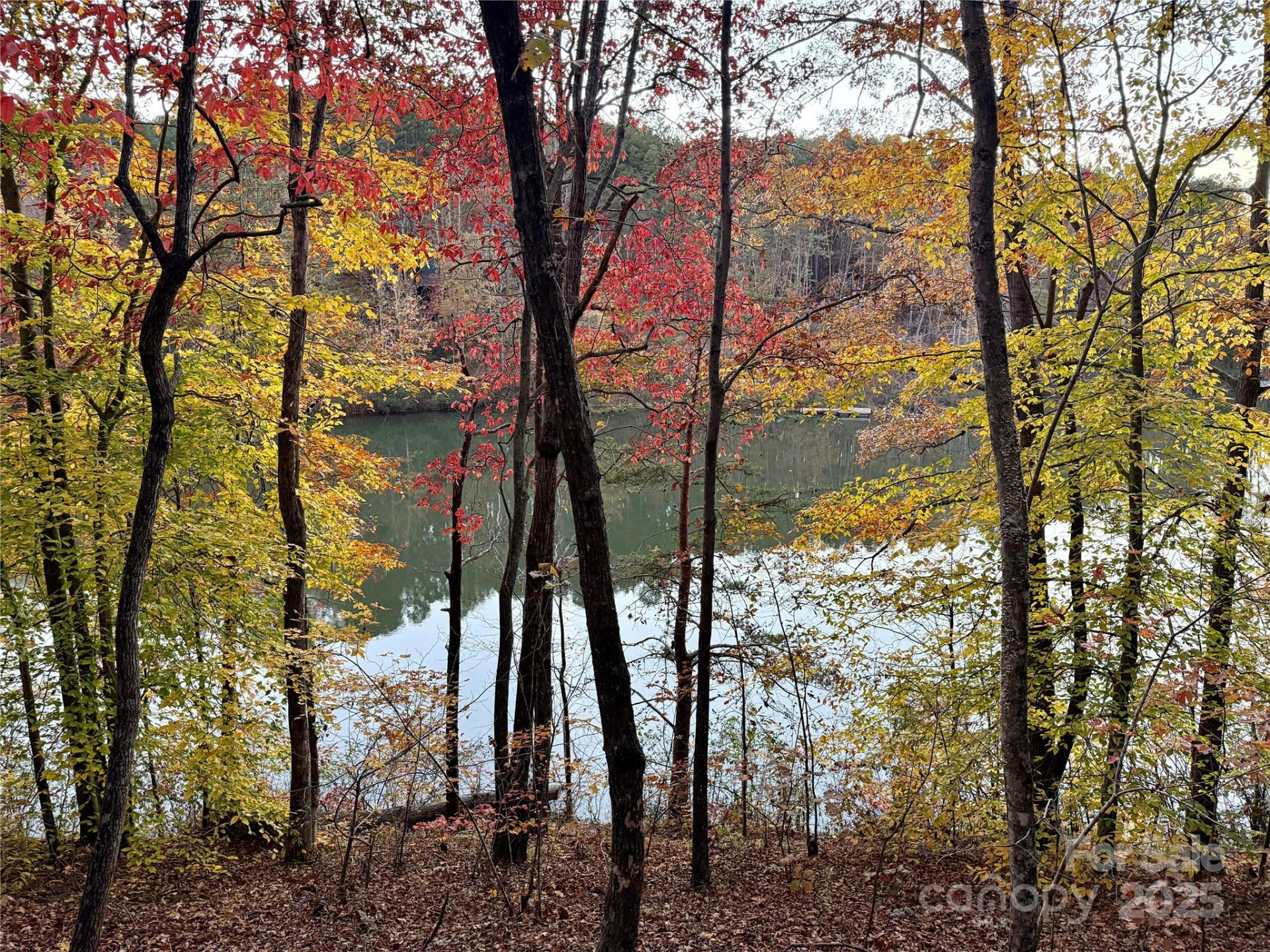 19 Meditation Ridge Extension - Photo 21