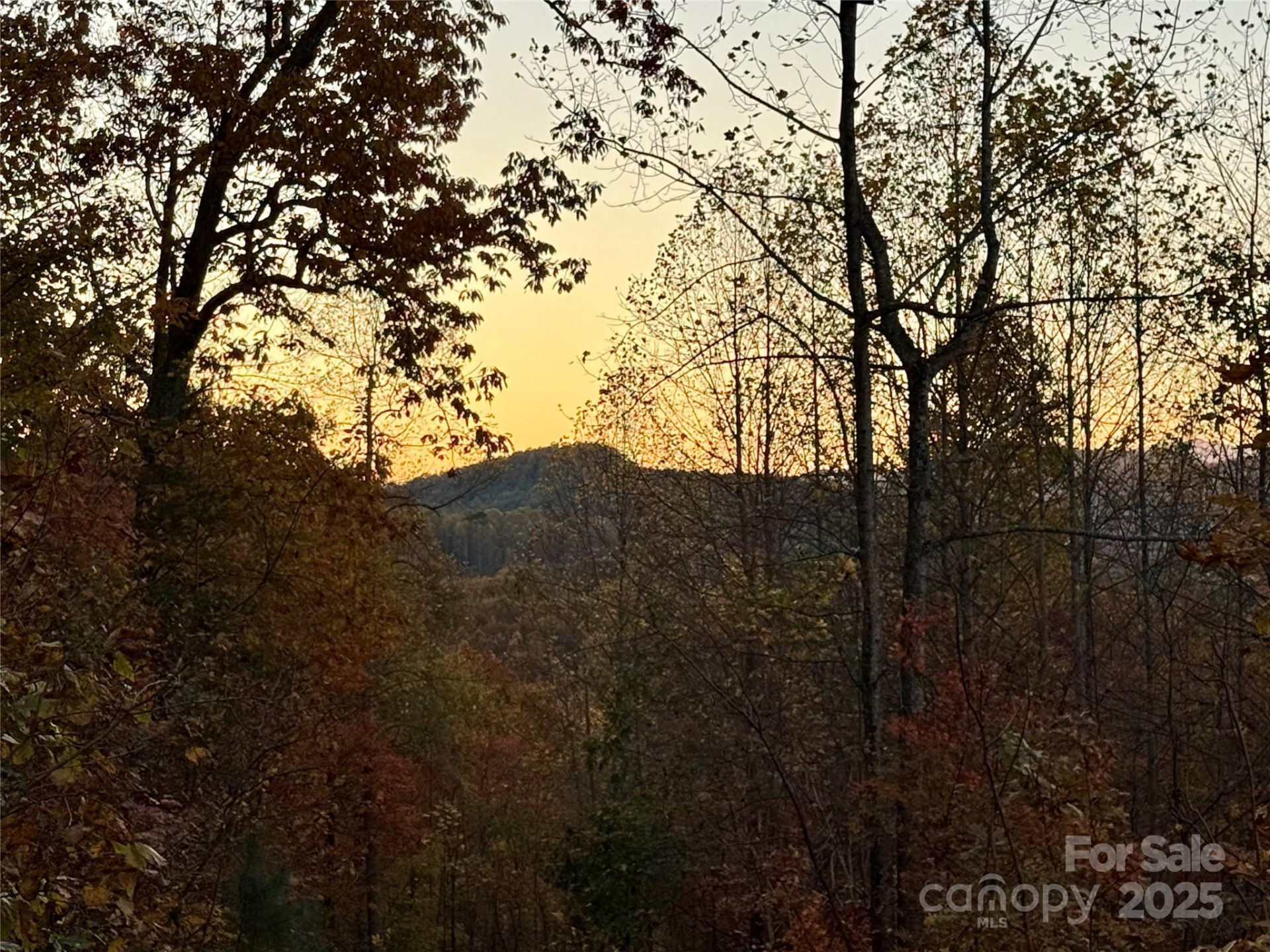 19 Meditation Ridge Extension - Photo 22