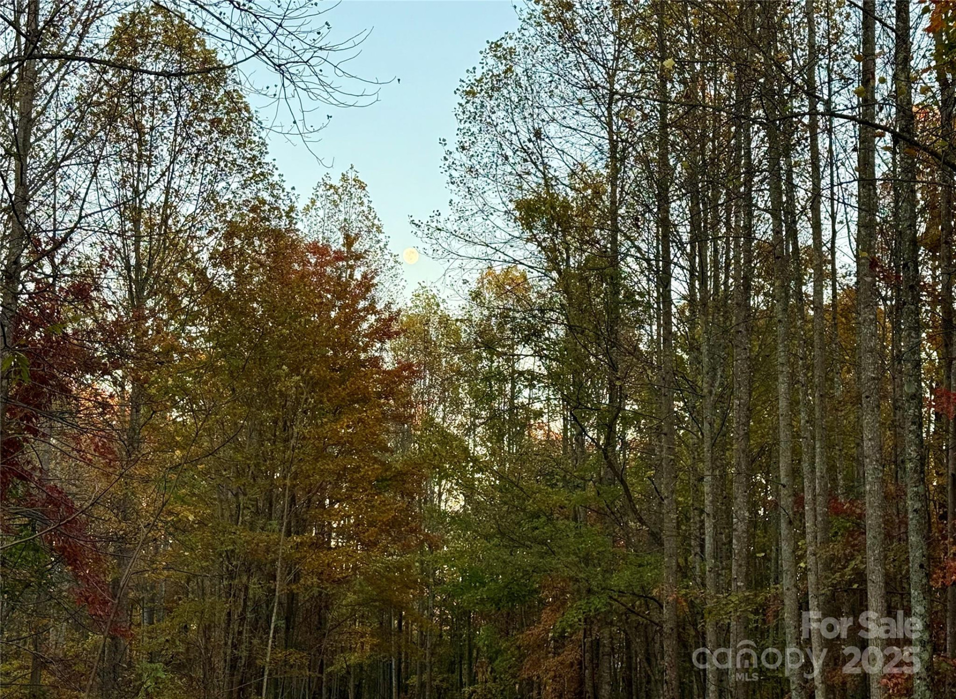 19 Meditation Ridge Extension - Photo 23